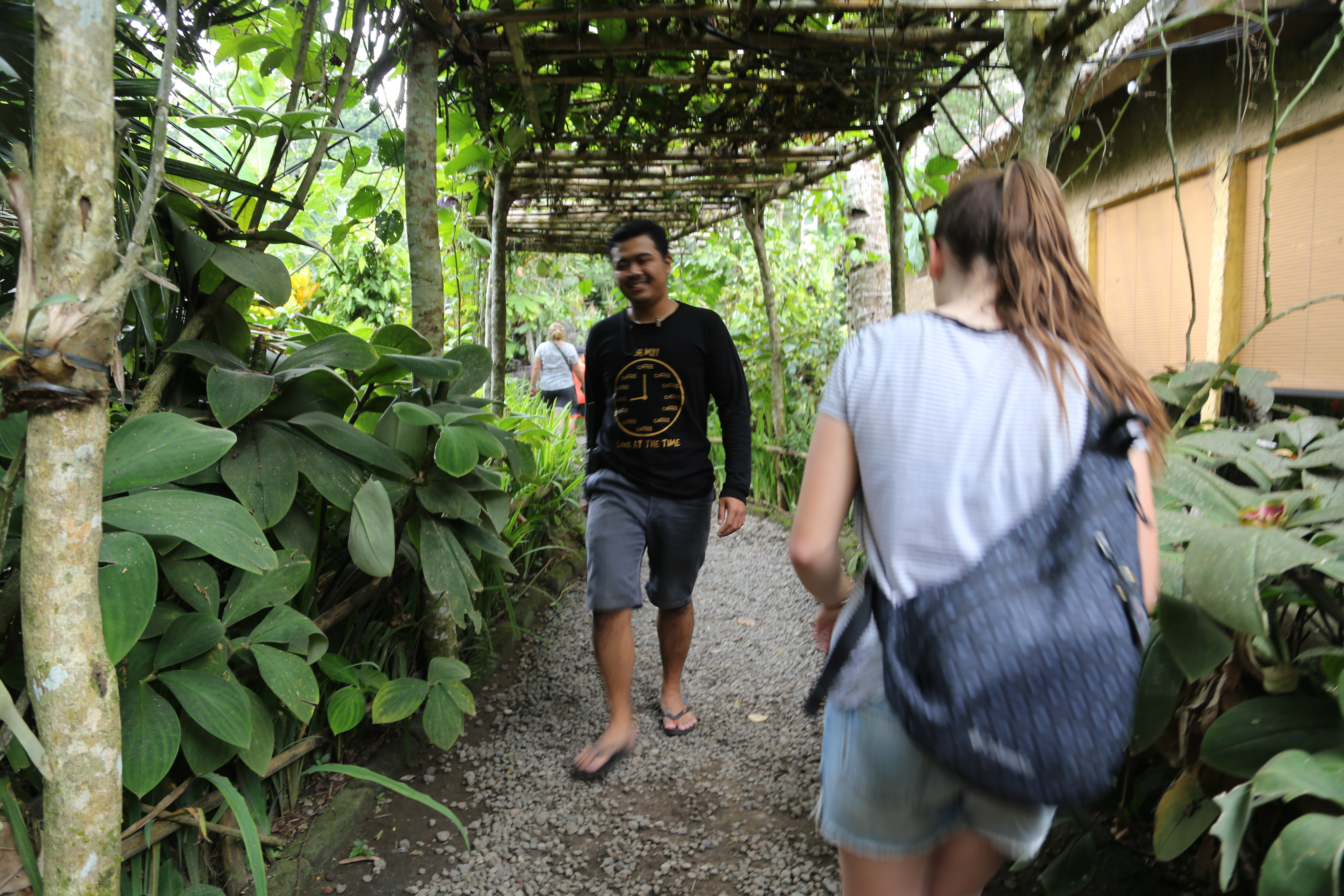 2018 Southeast Asia Trip Day 6 - Ubud, Bali, Indonesia (Mount Agung Volcano in Distance, Tegallalang Rice Terraces, Tirta Empul (Hindu Balinese Water Temple), Wearing Sarongs, Satria Agrowisata Coffee Plantation, Civet Cat Poop, Tibumana Waterfall)