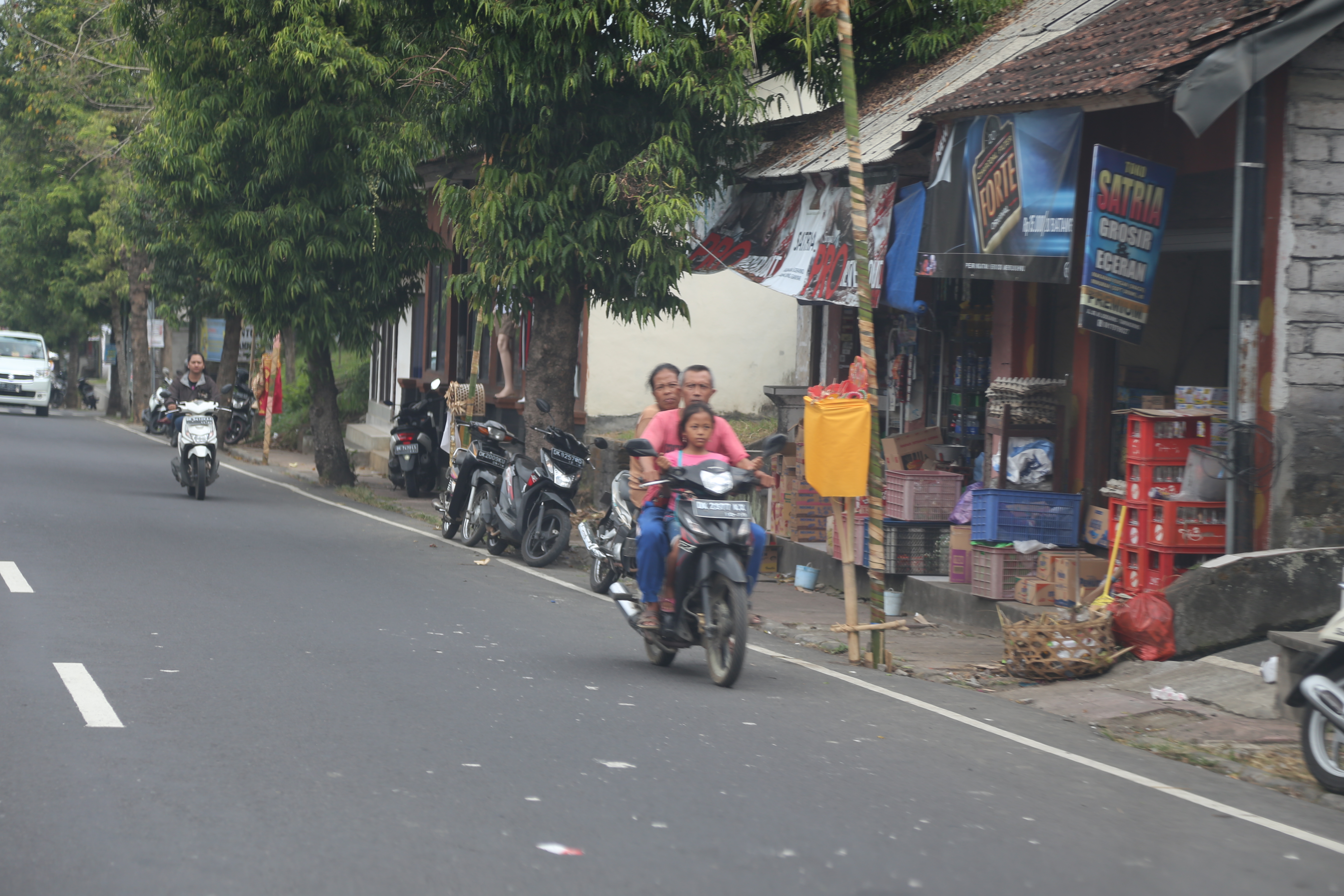 2018 Southeast Asia Trip Day 6 - Ubud, Bali, Indonesia (Mount Agung Volcano in Distance, Tegallalang Rice Terraces, Tirta Empul (Hindu Balinese Water Temple), Wearing Sarongs, Satria Agrowisata Coffee Plantation, Civet Cat Poop, Tibumana Waterfall)