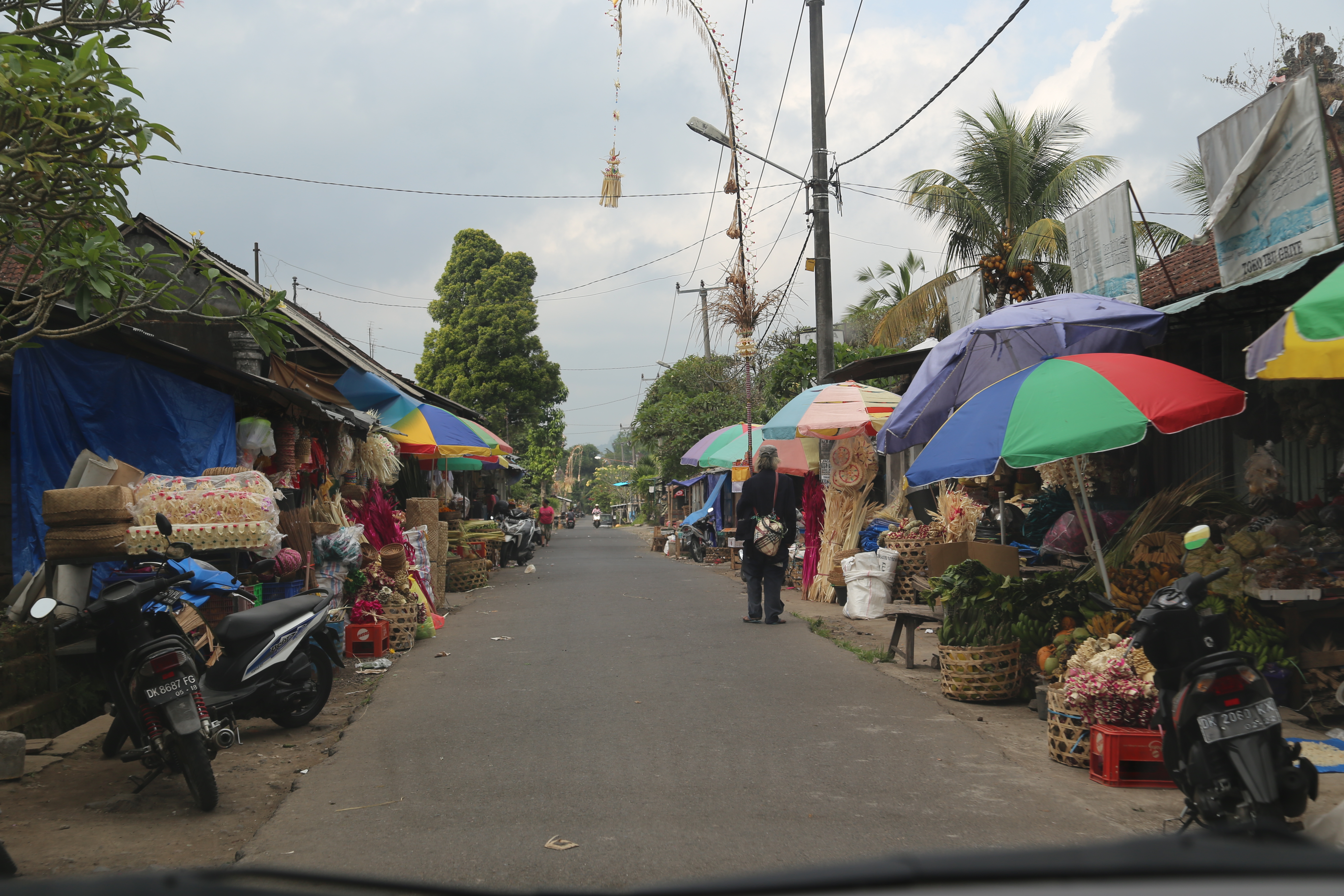 2018 Southeast Asia Trip Day 6 - Ubud, Bali, Indonesia (Mount Agung Volcano in Distance, Tegallalang Rice Terraces, Tirta Empul (Hindu Balinese Water Temple), Wearing Sarongs, Satria Agrowisata Coffee Plantation, Civet Cat Poop, Tibumana Waterfall)