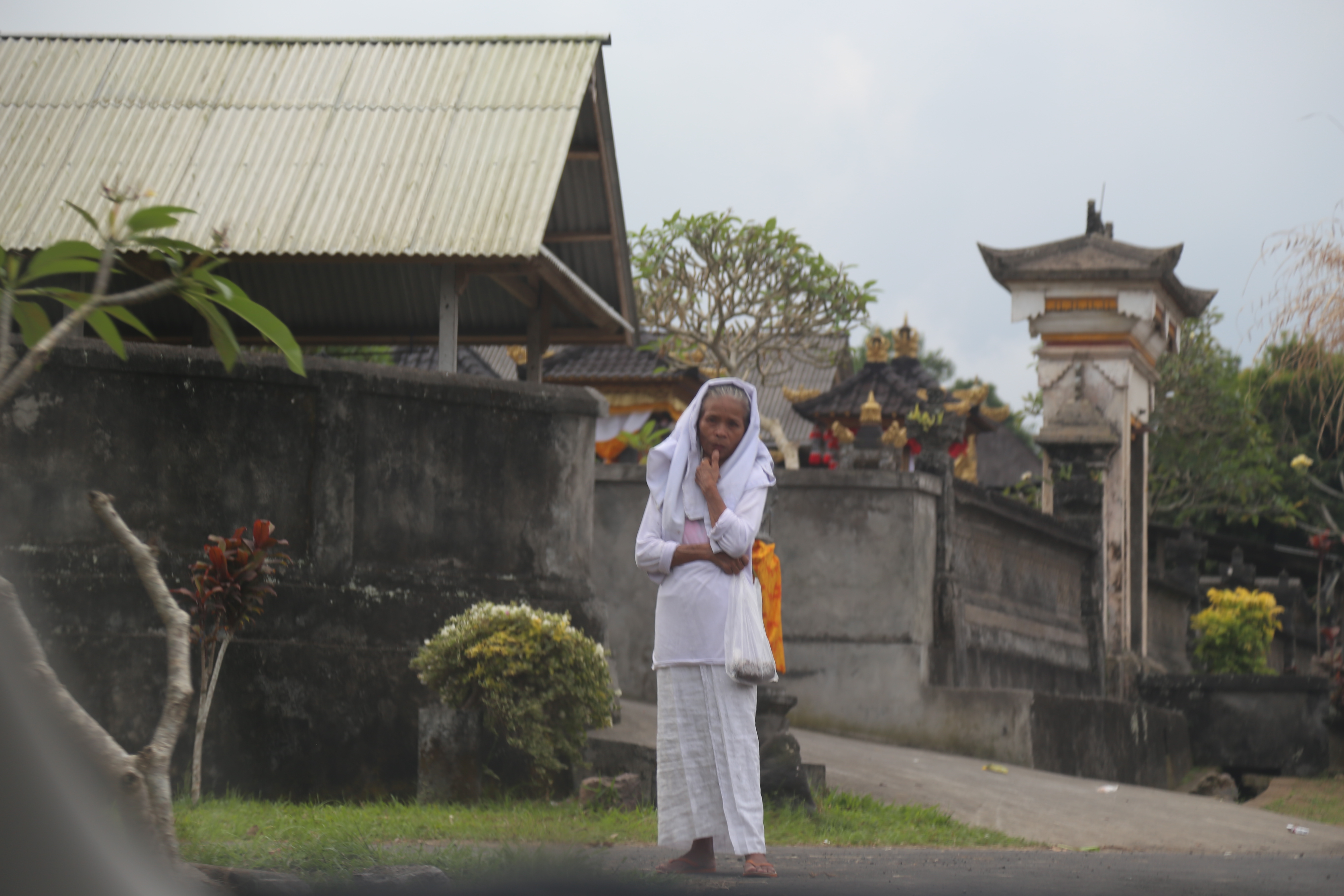 2018 Southeast Asia Trip Day 6 - Ubud, Bali, Indonesia (Mount Agung Volcano in Distance, Tegallalang Rice Terraces, Tirta Empul (Hindu Balinese Water Temple), Wearing Sarongs, Satria Agrowisata Coffee Plantation, Civet Cat Poop, Tibumana Waterfall)