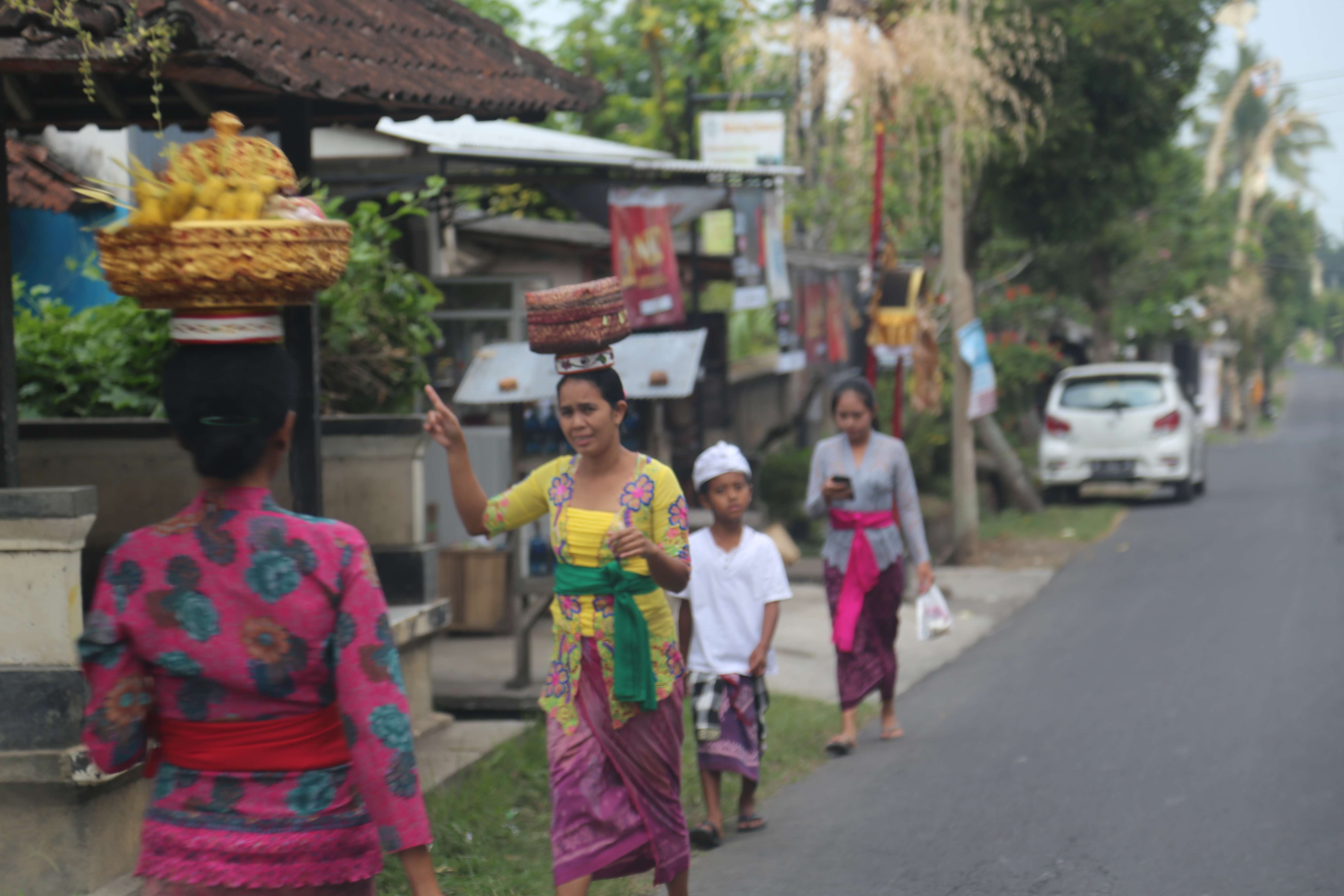 2018 Southeast Asia Trip Day 6 - Ubud, Bali, Indonesia (Mount Agung Volcano in Distance, Tegallalang Rice Terraces, Tirta Empul (Hindu Balinese Water Temple), Wearing Sarongs, Satria Agrowisata Coffee Plantation, Civet Cat Poop, Tibumana Waterfall)