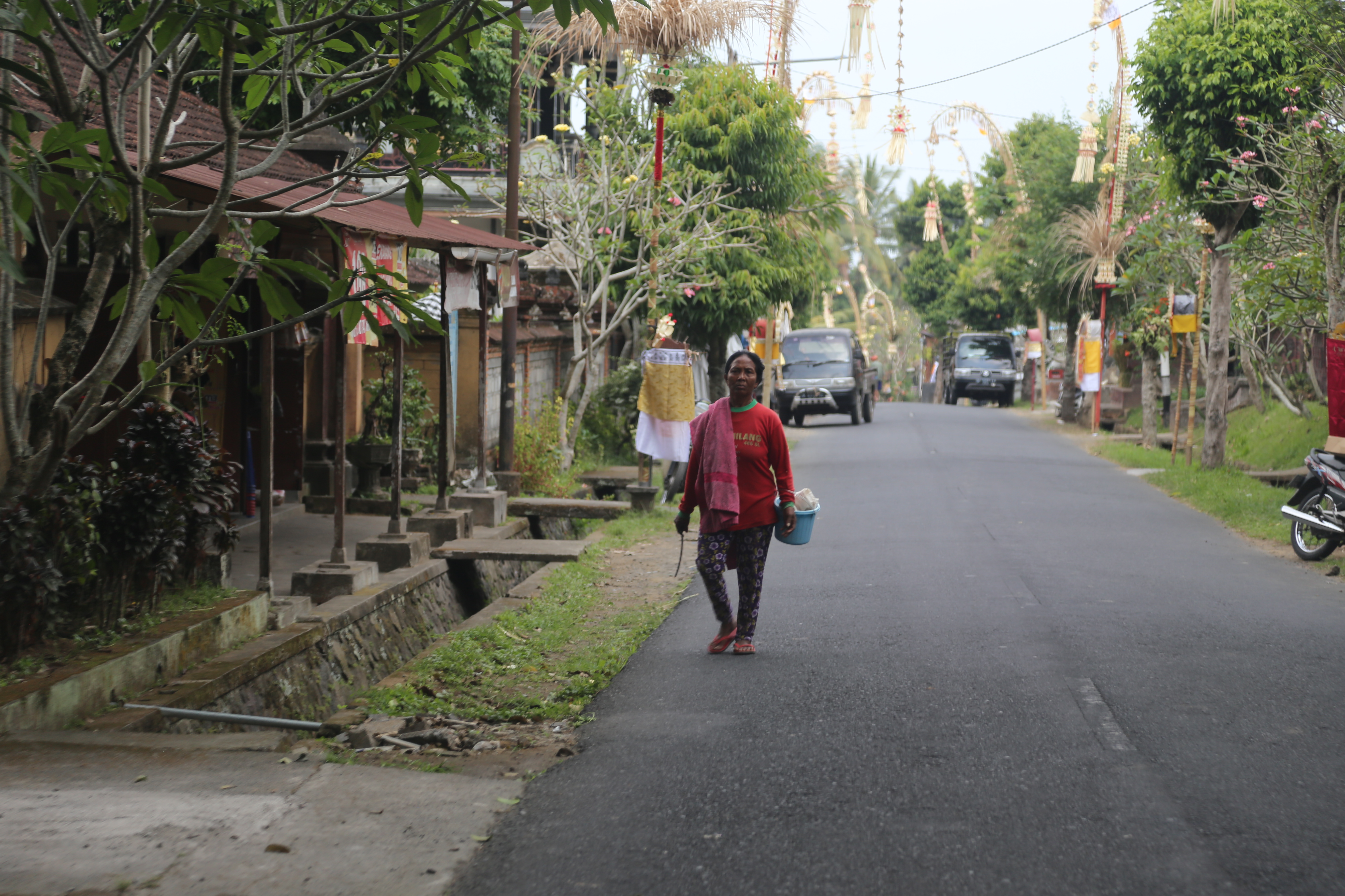 2018 Southeast Asia Trip Day 6 - Ubud, Bali, Indonesia (Mount Agung Volcano in Distance, Tegallalang Rice Terraces, Tirta Empul (Hindu Balinese Water Temple), Wearing Sarongs, Satria Agrowisata Coffee Plantation, Civet Cat Poop, Tibumana Waterfall)