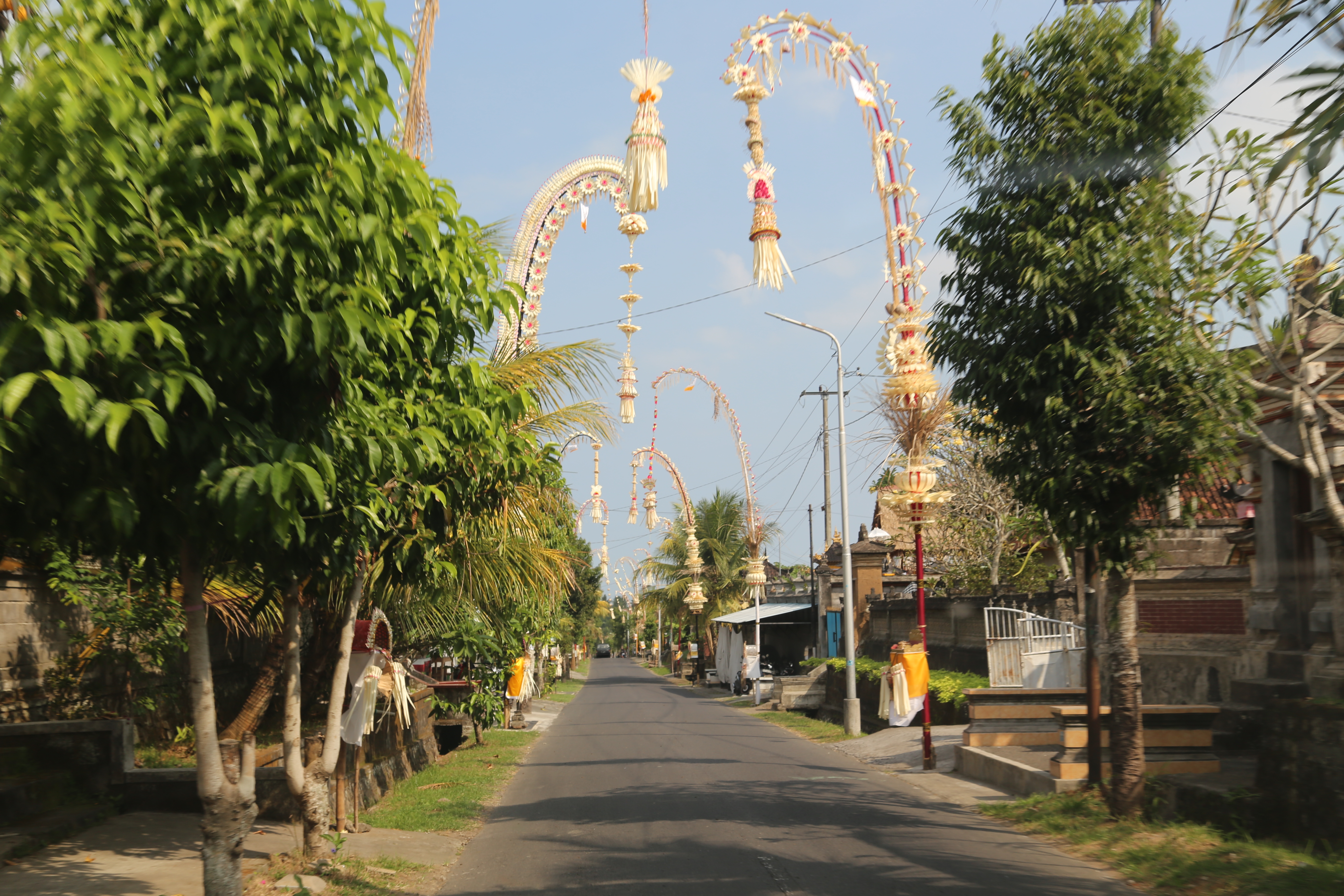 2018 Southeast Asia Trip Day 6 - Ubud, Bali, Indonesia (Mount Agung Volcano in Distance, Tegallalang Rice Terraces, Tirta Empul (Hindu Balinese Water Temple), Wearing Sarongs, Satria Agrowisata Coffee Plantation, Civet Cat Poop, Tibumana Waterfall)