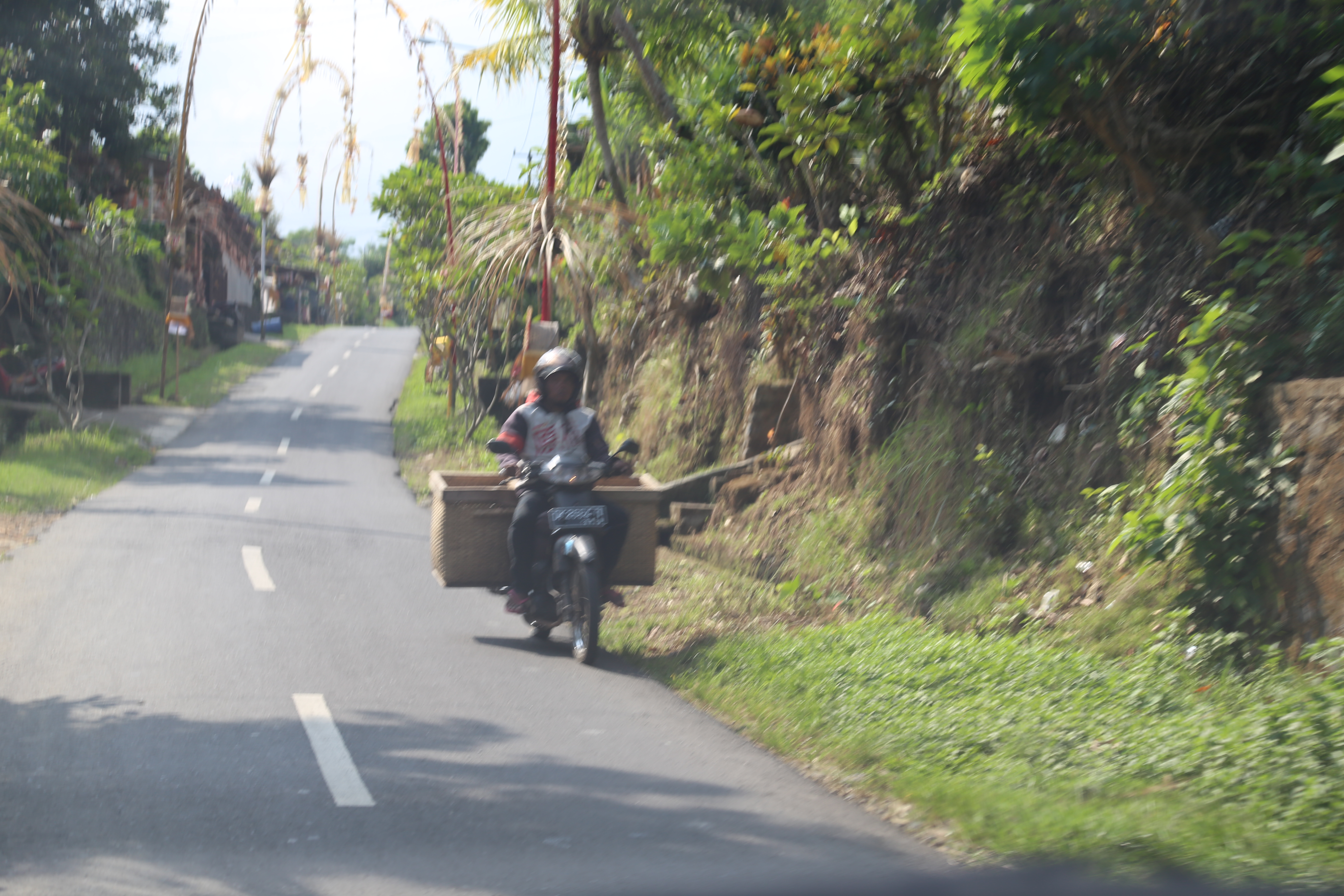 2018 Southeast Asia Trip Day 6 - Ubud, Bali, Indonesia (Mount Agung Volcano in Distance, Tegallalang Rice Terraces, Tirta Empul (Hindu Balinese Water Temple), Wearing Sarongs, Satria Agrowisata Coffee Plantation, Civet Cat Poop, Tibumana Waterfall)