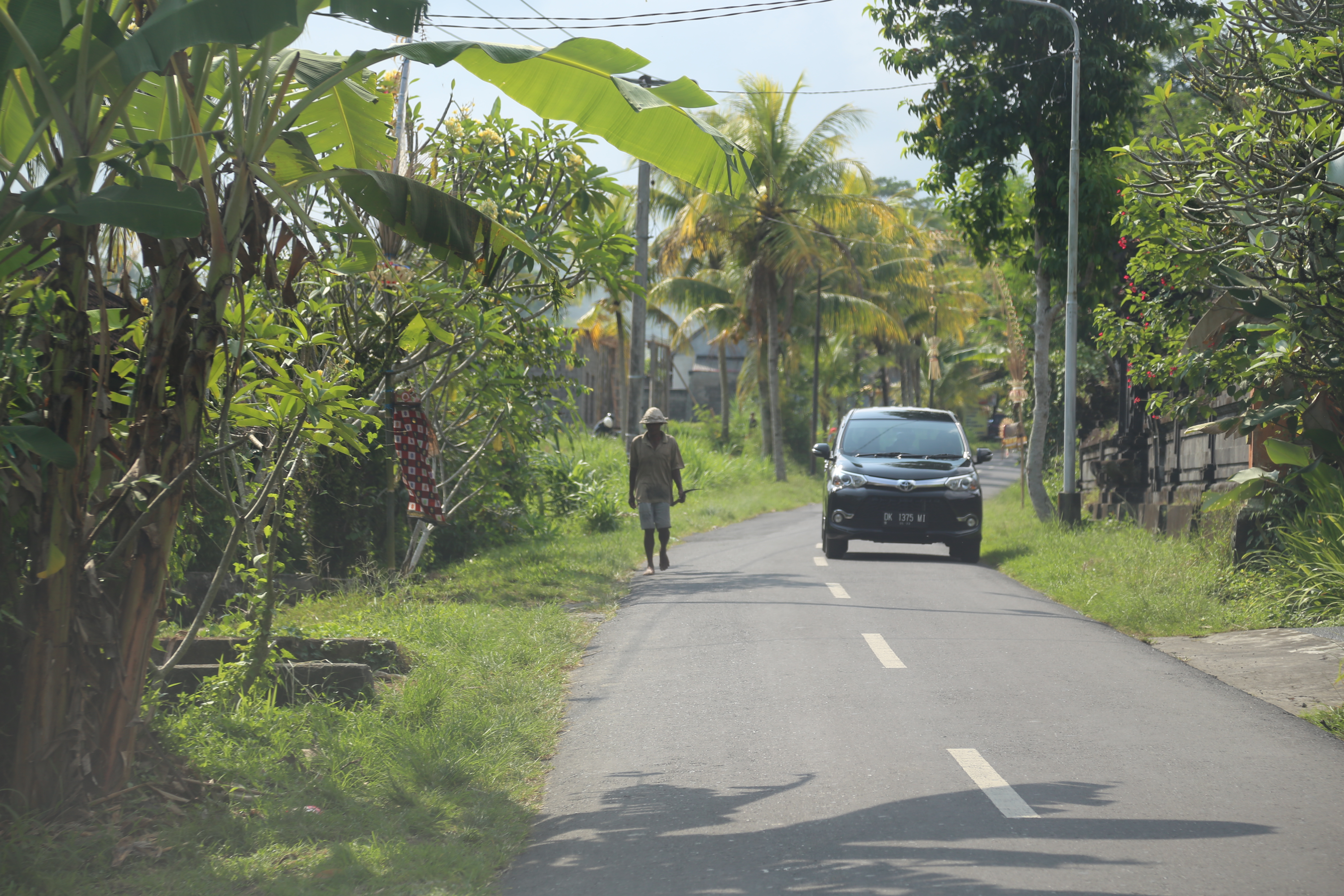 2018 Southeast Asia Trip Day 6 - Ubud, Bali, Indonesia (Mount Agung Volcano in Distance, Tegallalang Rice Terraces, Tirta Empul (Hindu Balinese Water Temple), Wearing Sarongs, Satria Agrowisata Coffee Plantation, Civet Cat Poop, Tibumana Waterfall)