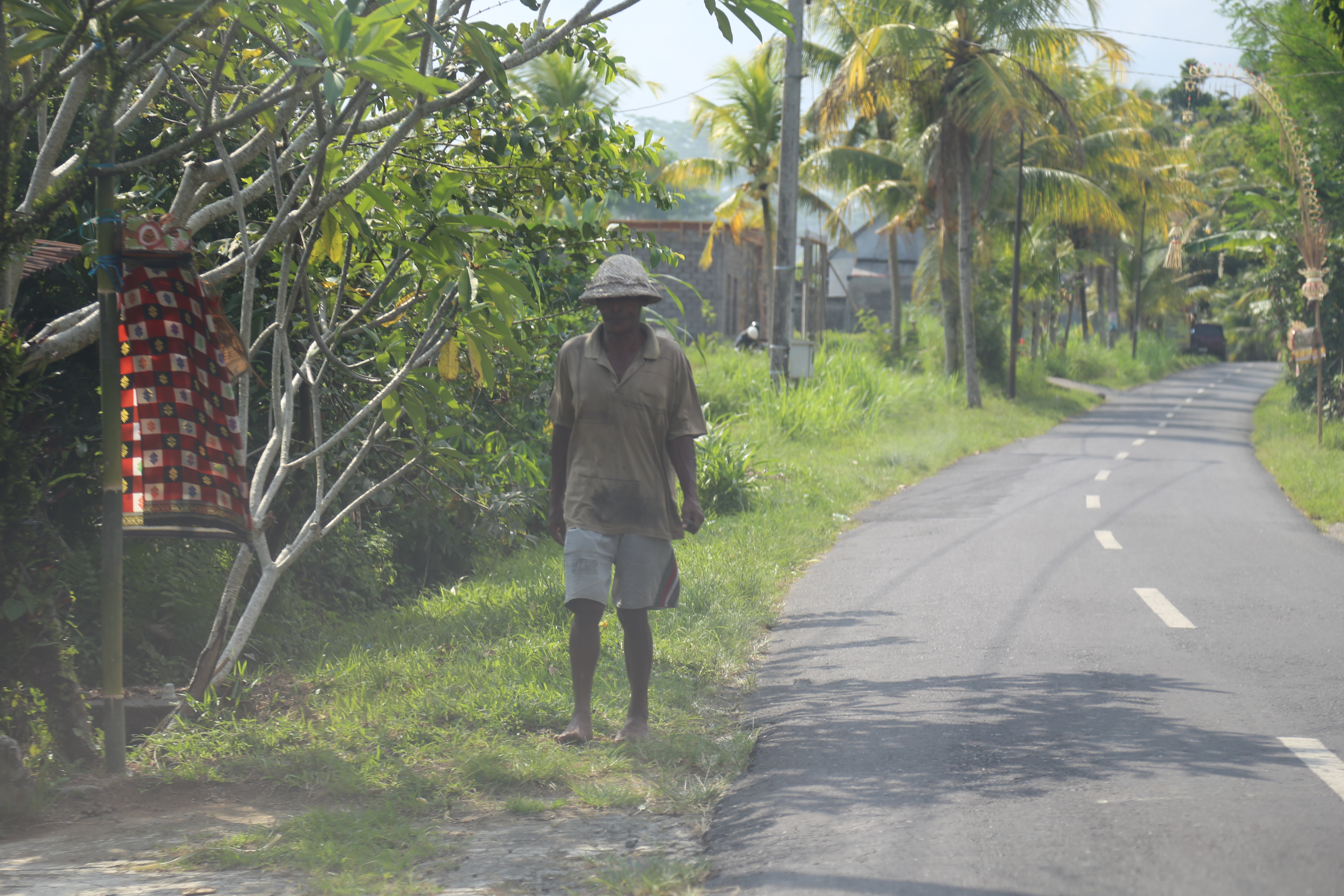 2018 Southeast Asia Trip Day 6 - Ubud, Bali, Indonesia (Mount Agung Volcano in Distance, Tegallalang Rice Terraces, Tirta Empul (Hindu Balinese Water Temple), Wearing Sarongs, Satria Agrowisata Coffee Plantation, Civet Cat Poop, Tibumana Waterfall)