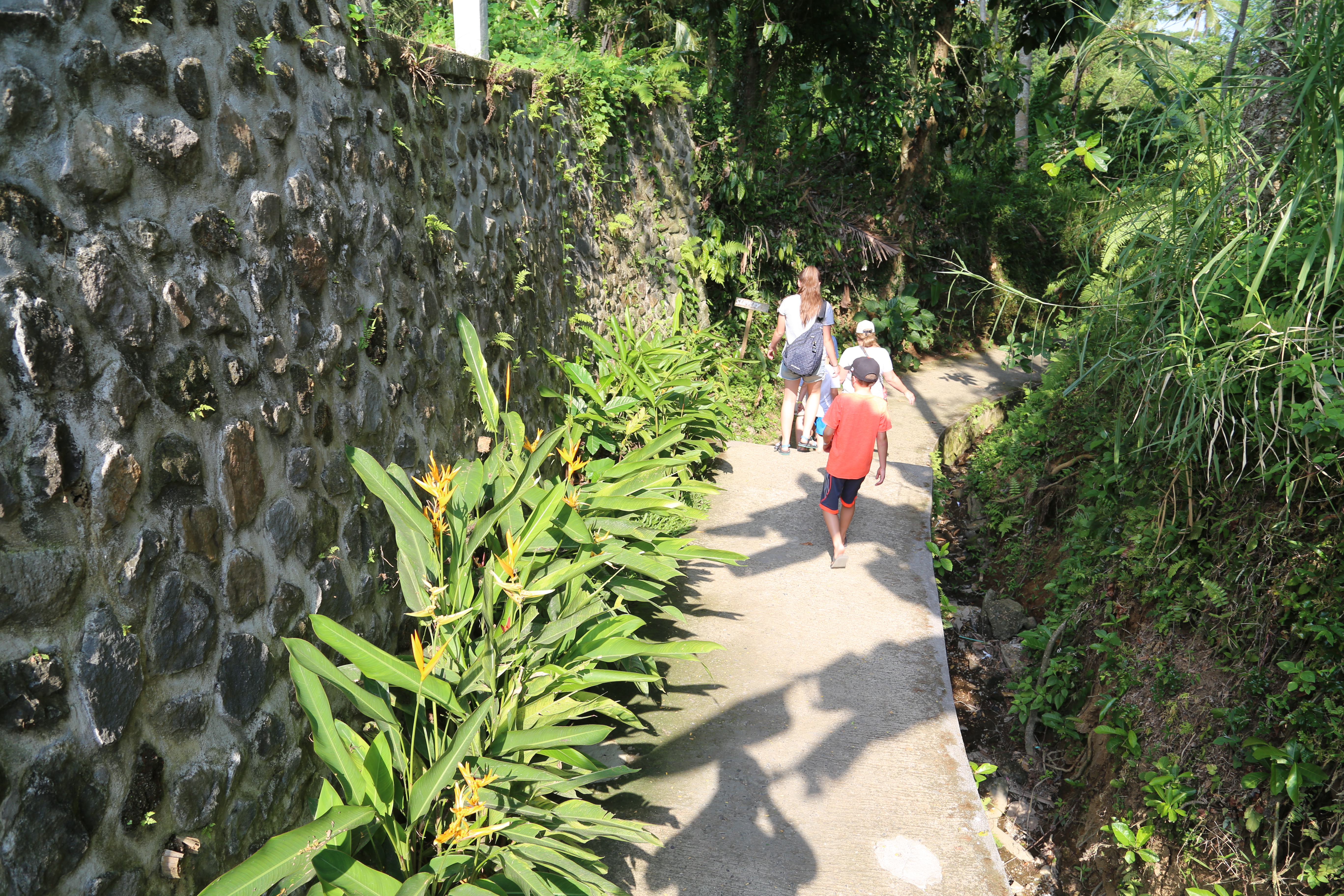 2018 Southeast Asia Trip Day 6 - Ubud, Bali, Indonesia (Mount Agung Volcano in Distance, Tegallalang Rice Terraces, Tirta Empul (Hindu Balinese Water Temple), Wearing Sarongs, Satria Agrowisata Coffee Plantation, Civet Cat Poop, Tibumana Waterfall)