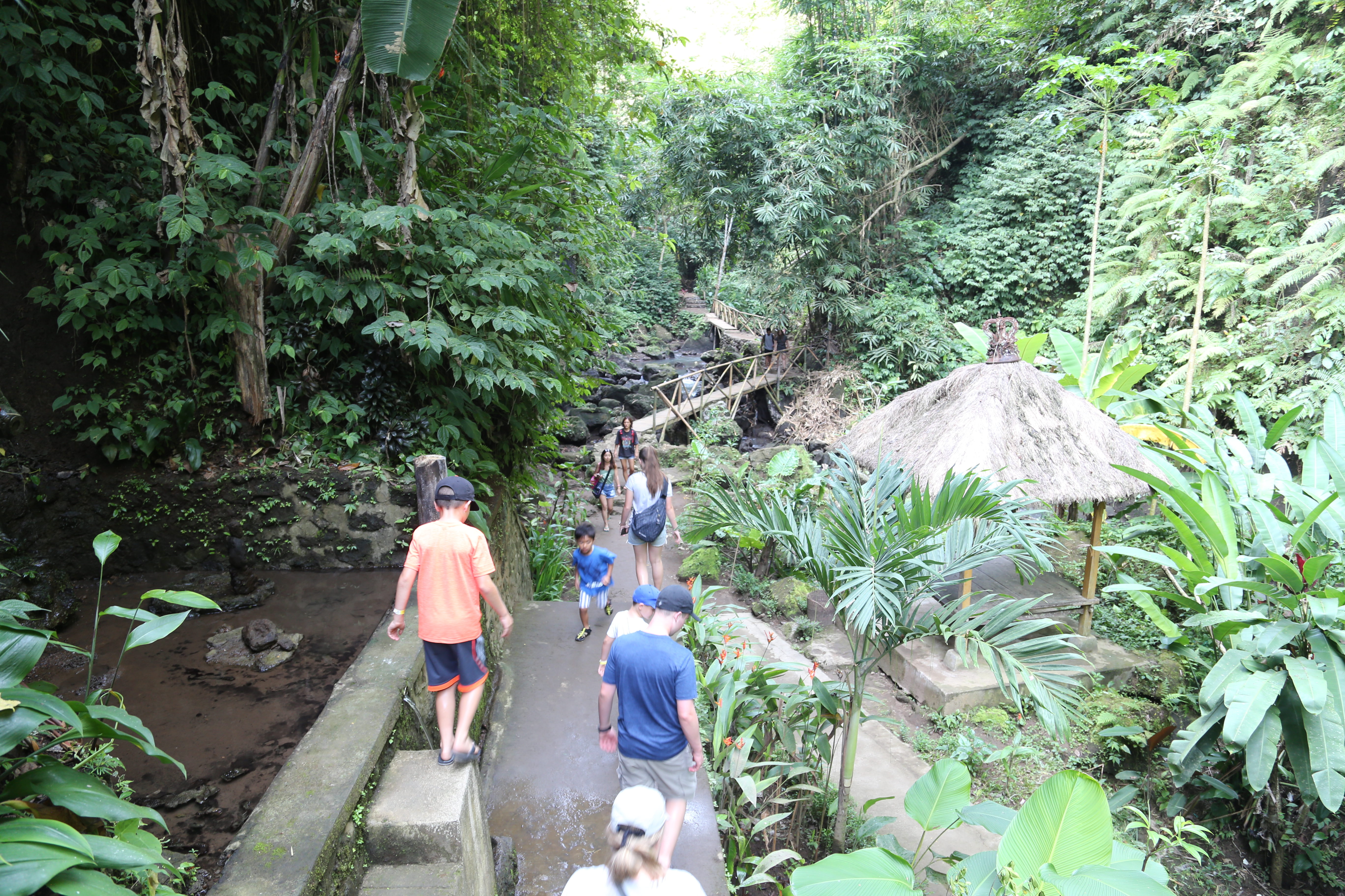 2018 Southeast Asia Trip Day 6 - Ubud, Bali, Indonesia (Mount Agung Volcano in Distance, Tegallalang Rice Terraces, Tirta Empul (Hindu Balinese Water Temple), Wearing Sarongs, Satria Agrowisata Coffee Plantation, Civet Cat Poop, Tibumana Waterfall)