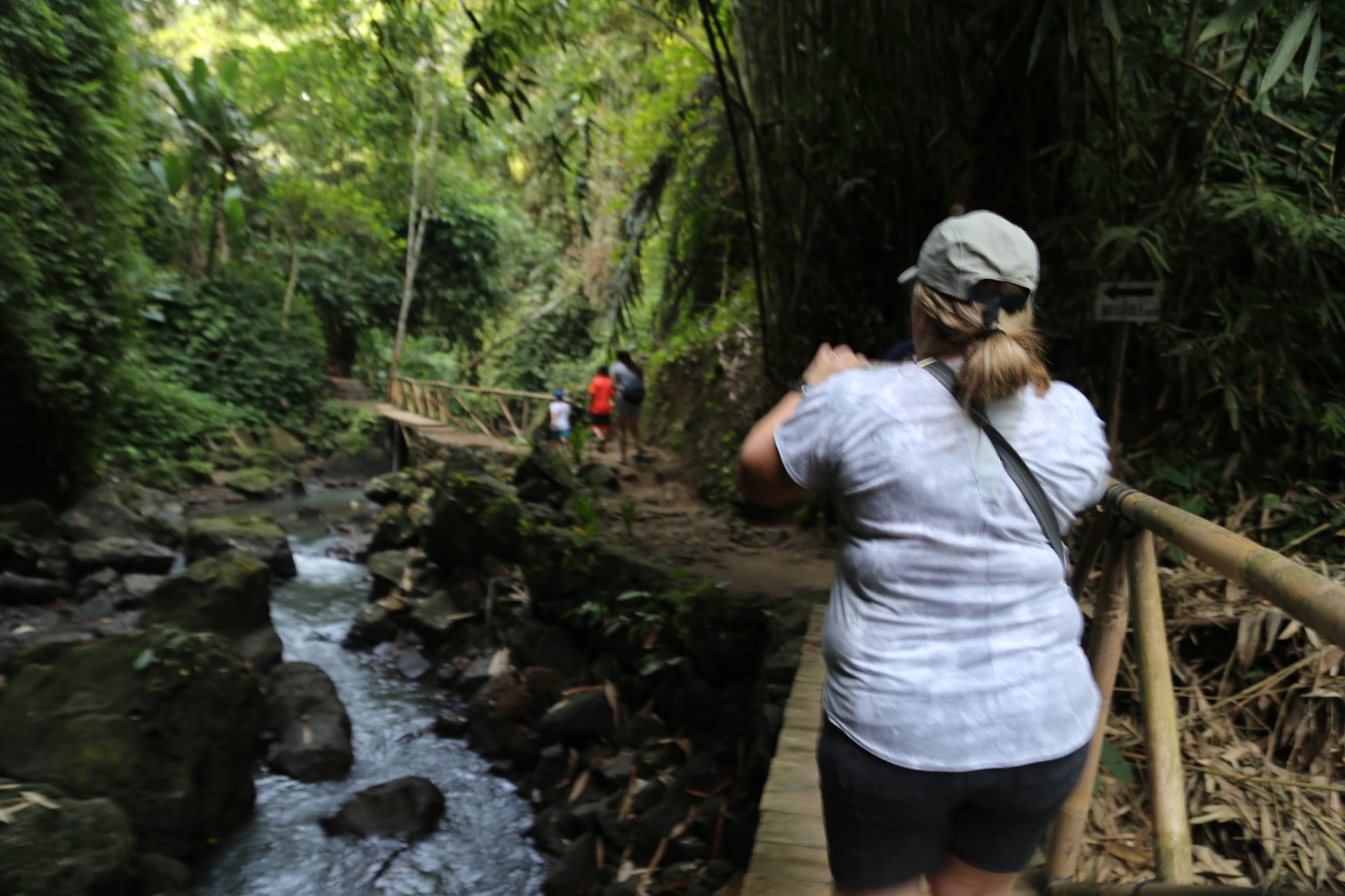 2018 Southeast Asia Trip Day 6 - Ubud, Bali, Indonesia (Mount Agung Volcano in Distance, Tegallalang Rice Terraces, Tirta Empul (Hindu Balinese Water Temple), Wearing Sarongs, Satria Agrowisata Coffee Plantation, Civet Cat Poop, Tibumana Waterfall)