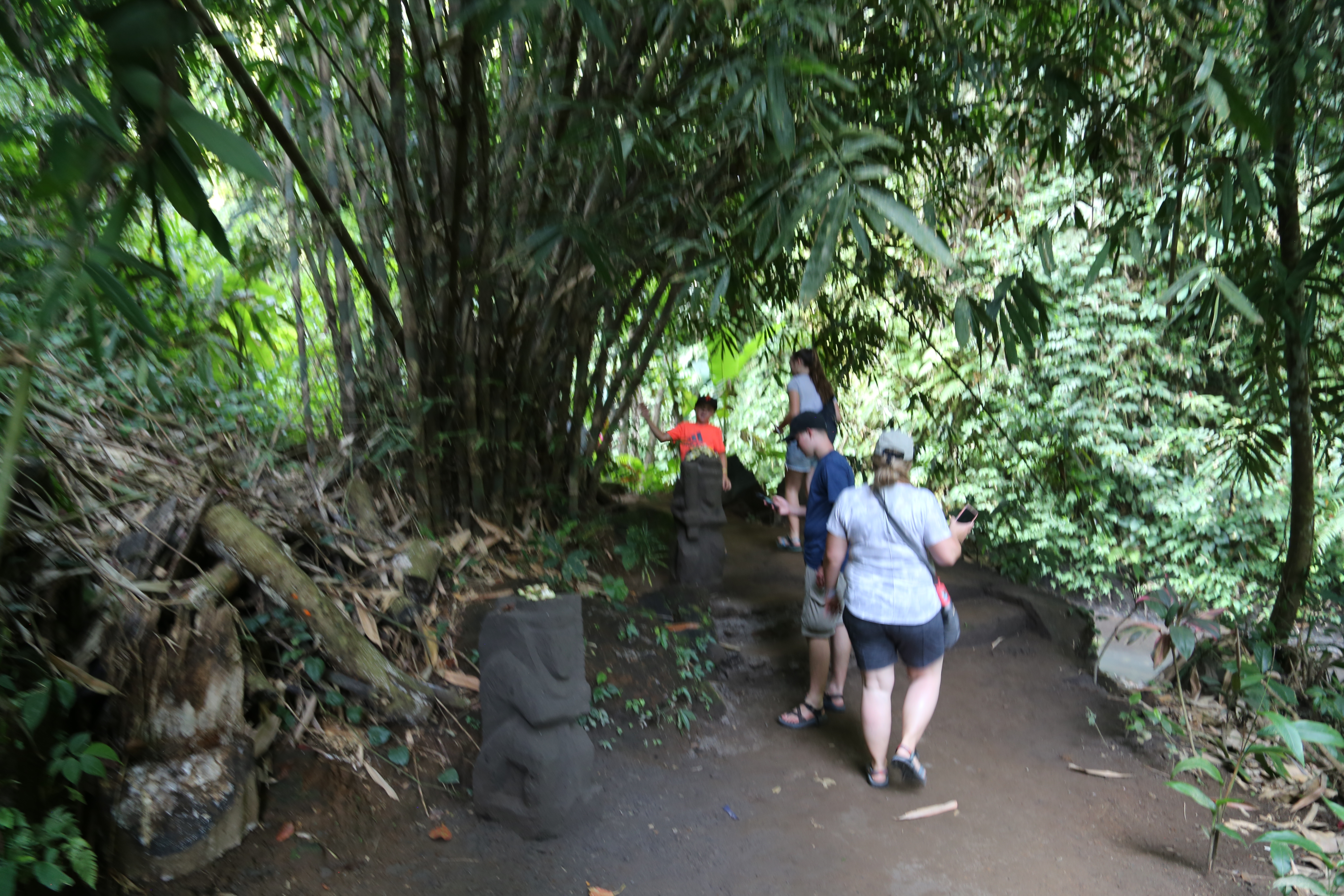 2018 Southeast Asia Trip Day 6 - Ubud, Bali, Indonesia (Mount Agung Volcano in Distance, Tegallalang Rice Terraces, Tirta Empul (Hindu Balinese Water Temple), Wearing Sarongs, Satria Agrowisata Coffee Plantation, Civet Cat Poop, Tibumana Waterfall)