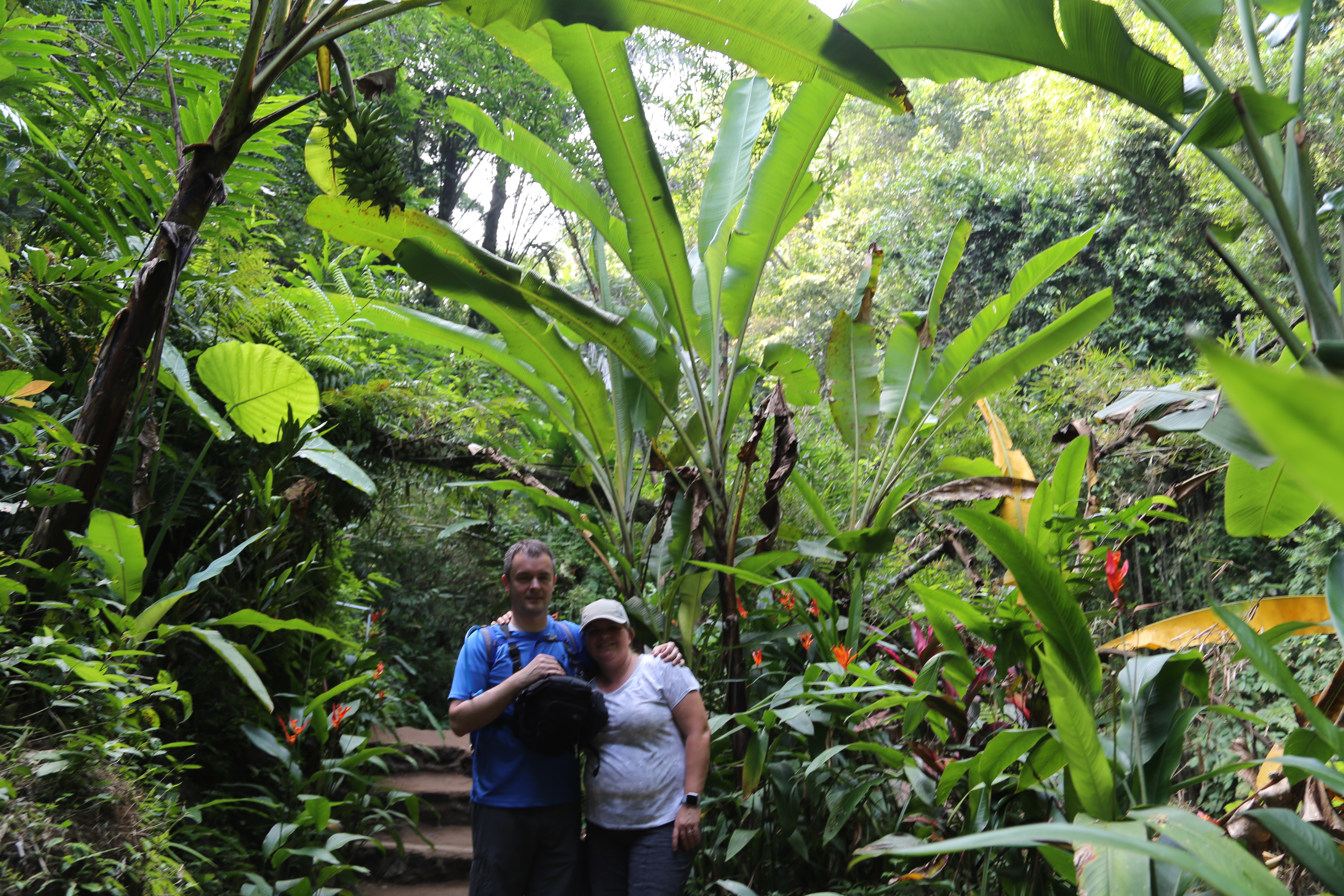 2018 Southeast Asia Trip Day 6 - Ubud, Bali, Indonesia (Mount Agung Volcano in Distance, Tegallalang Rice Terraces, Tirta Empul (Hindu Balinese Water Temple), Wearing Sarongs, Satria Agrowisata Coffee Plantation, Civet Cat Poop, Tibumana Waterfall)