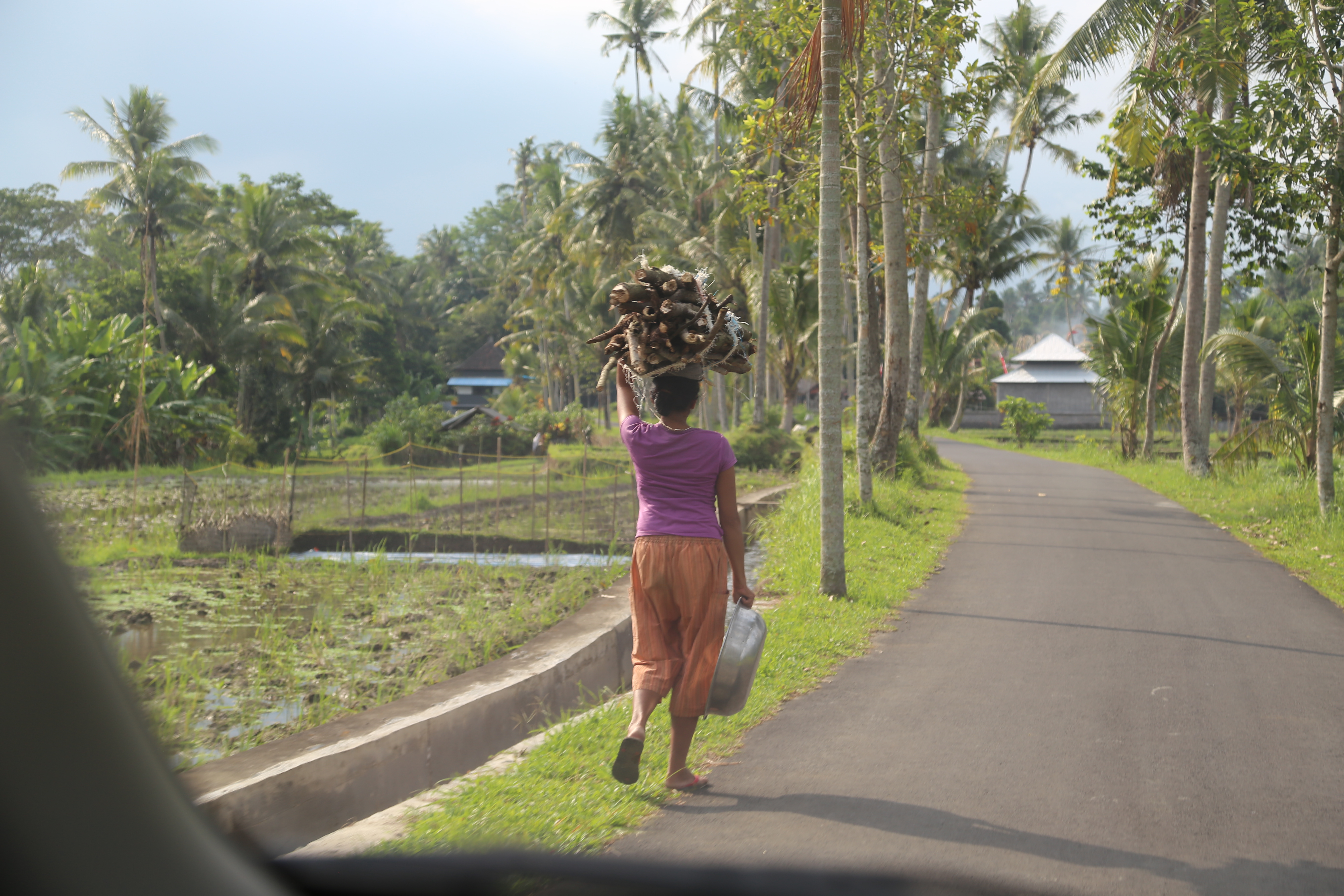 2018 Southeast Asia Trip Day 6 - Ubud, Bali, Indonesia (Mount Agung Volcano in Distance, Tegallalang Rice Terraces, Tirta Empul (Hindu Balinese Water Temple), Wearing Sarongs, Satria Agrowisata Coffee Plantation, Civet Cat Poop, Tibumana Waterfall)