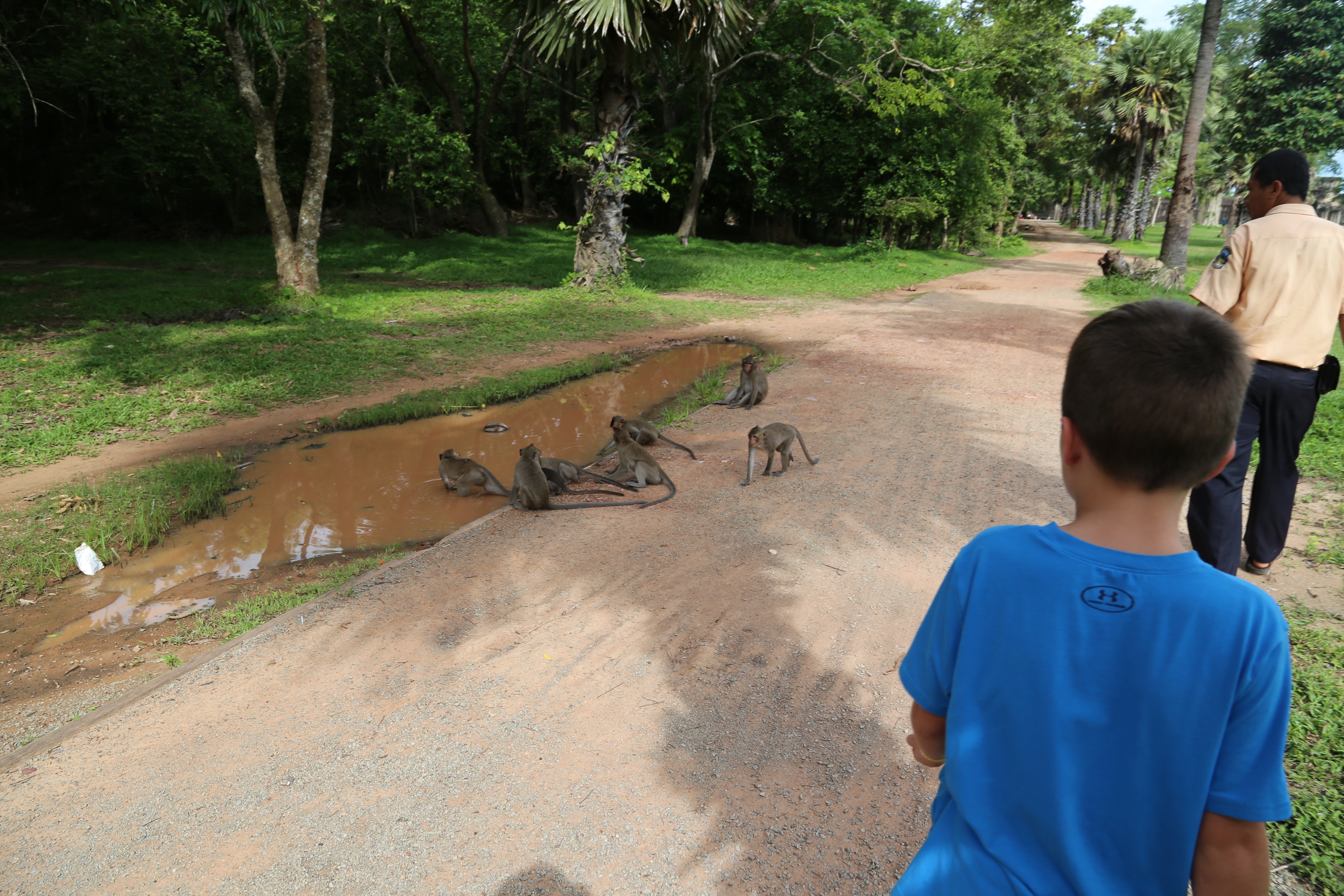 2018 Southeast Asia Trip Day 10 - Siem Reap, Cambodia ()