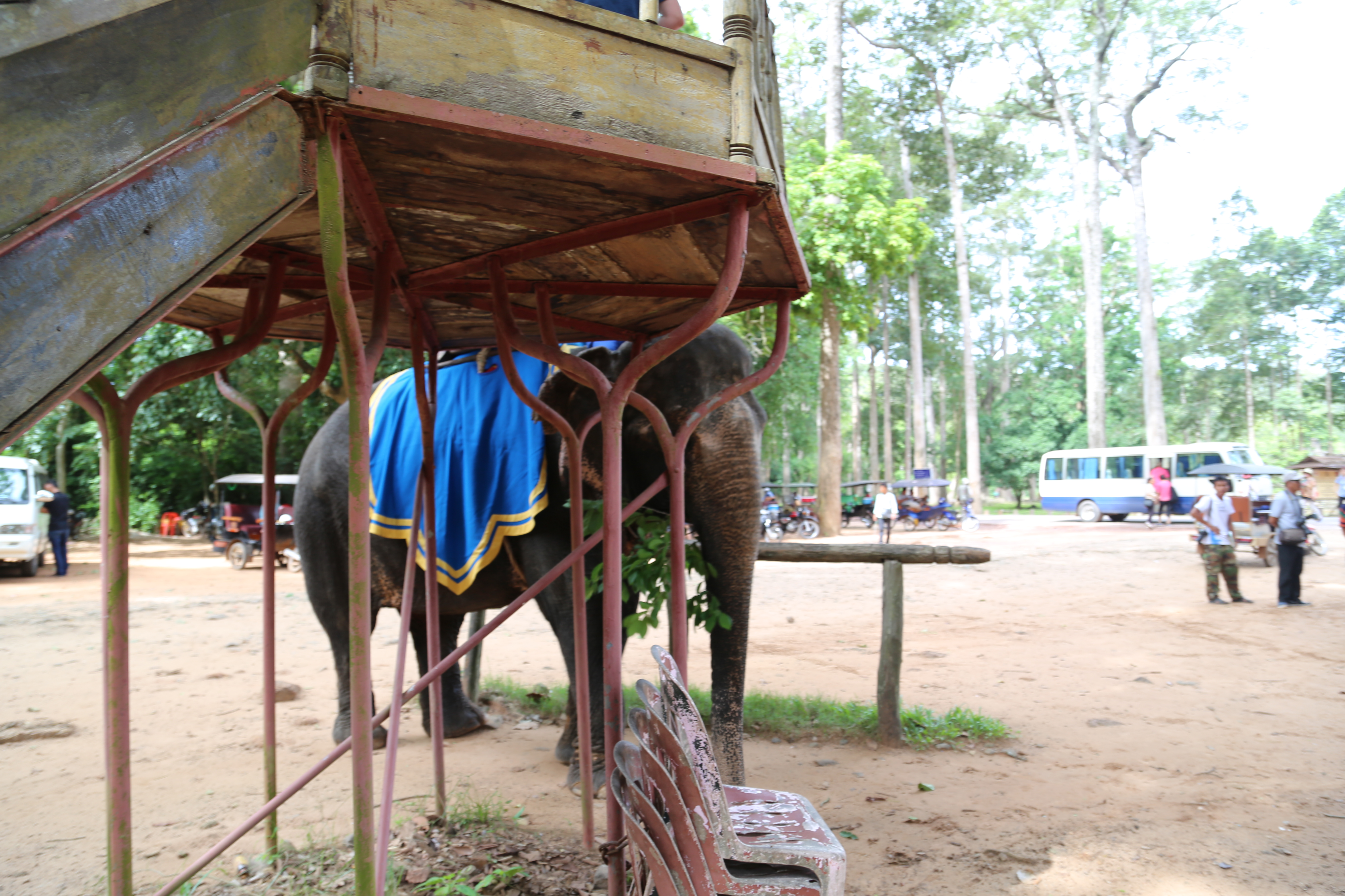 2018 Southeast Asia Trip Day 10 - Siem Reap, Cambodia ()