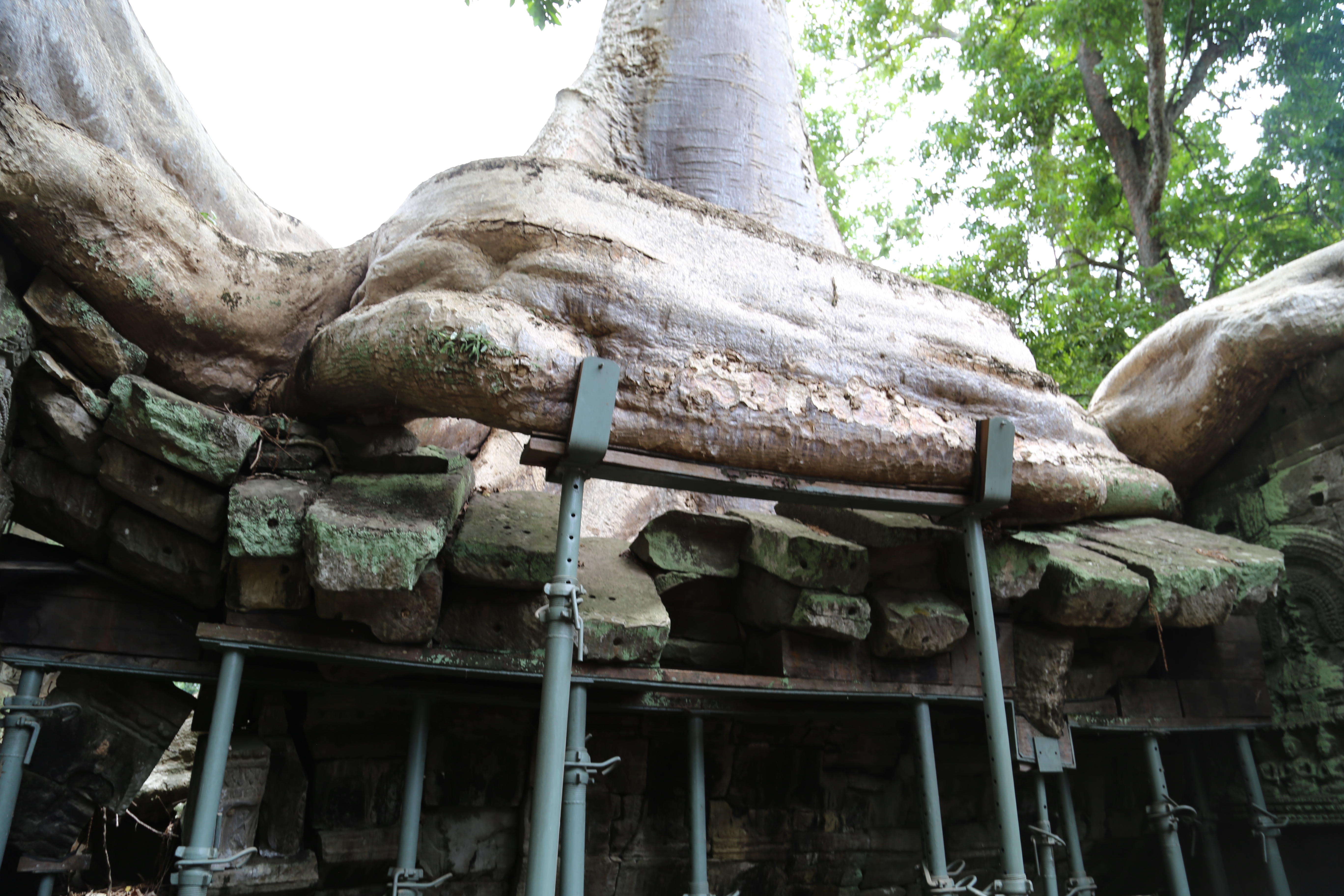 2018 Southeast Asia Trip Day 10 - Siem Reap, Cambodia ()