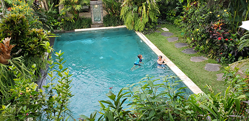 2018 Southesat Asia Trip Day 4 - Ubud, Bali, Indonesia (Satori Villas - Wayan & Ketut, Ubud Rice Fields, Fireflies, Sweet Orange Warung, Geckos, Swimming at the Villa)
