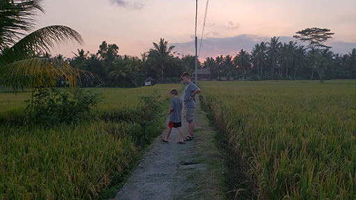 2018 Southesat Asia Trip Day 4 - Ubud, Bali, Indonesia (Satori Villas - Wayan & Ketut, Ubud Rice Fields, Fireflies, Sweet Orange Warung, Geckos, Swimming at the Villa)