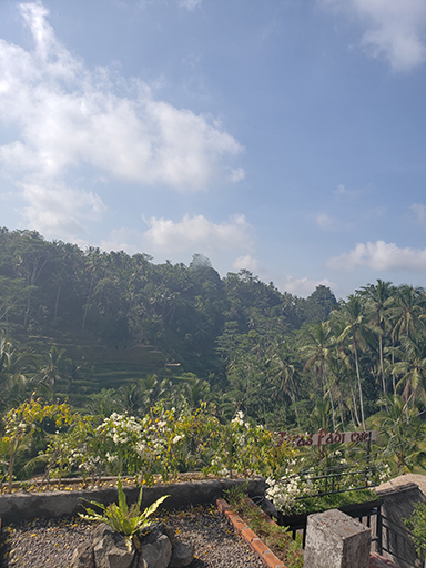 2018 Southeast Asia Trip Day 6 - Ubud, Bali, Indonesia (Mount Agung Volcano in Distance, Tegallalang Rice Terraces, Tirta Empul (Hindu Balinese Water Temple), Wearing Sarongs, Satria Agrowisata Coffee Plantation, Civet Cat Poop, Tibumana Waterfall)