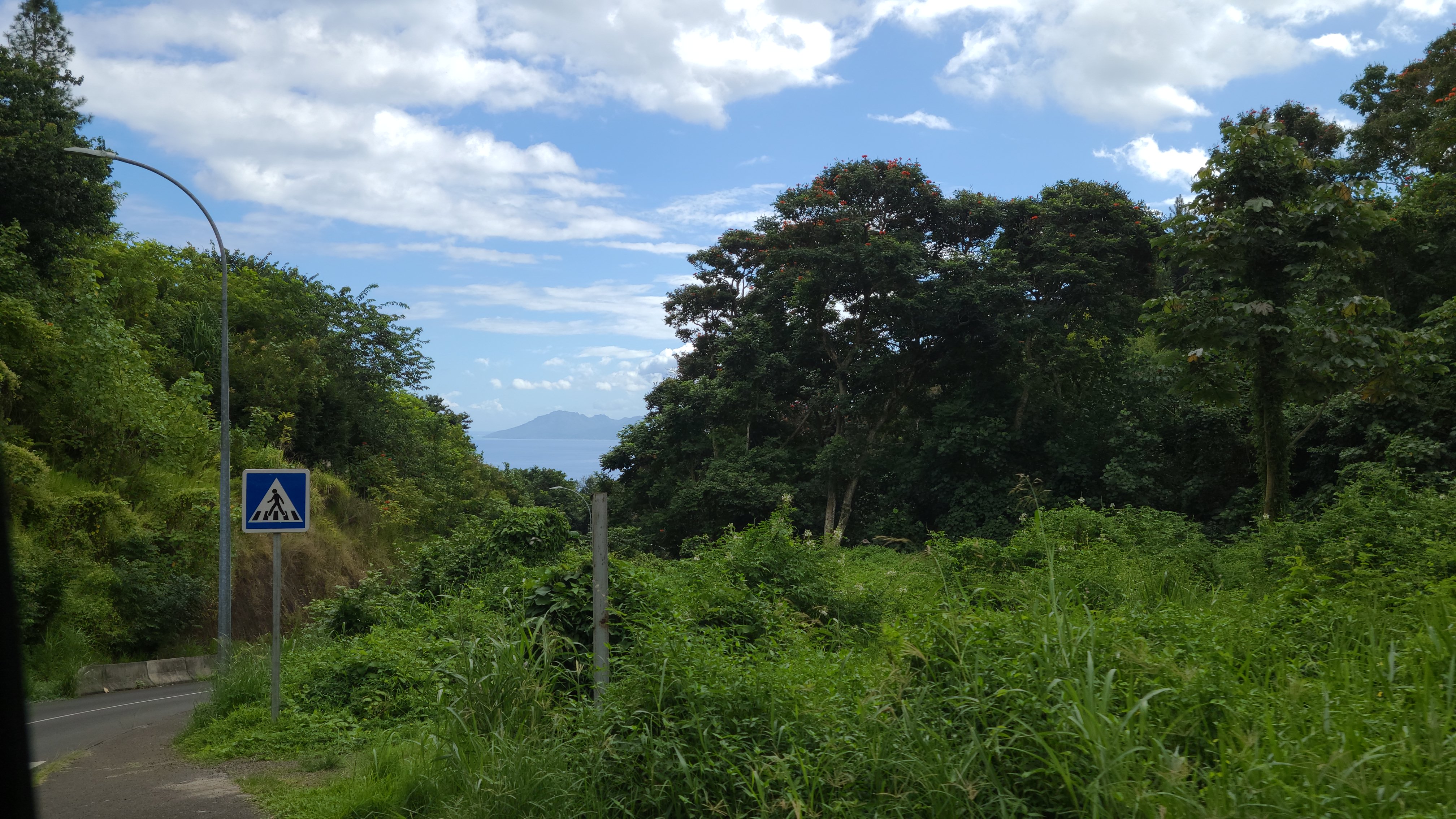 2022 Tahiti Taravao HXP - Day 15 (Epic Morning Devotional, Volunteering at Youth Center, Working at Community Garden on Mountain, Solis, Tiana Sees Her New House, Vaihiria Ward Activity: Coconut Milk, Learning Drums & Tahitian Dances, Making Flower Crowns