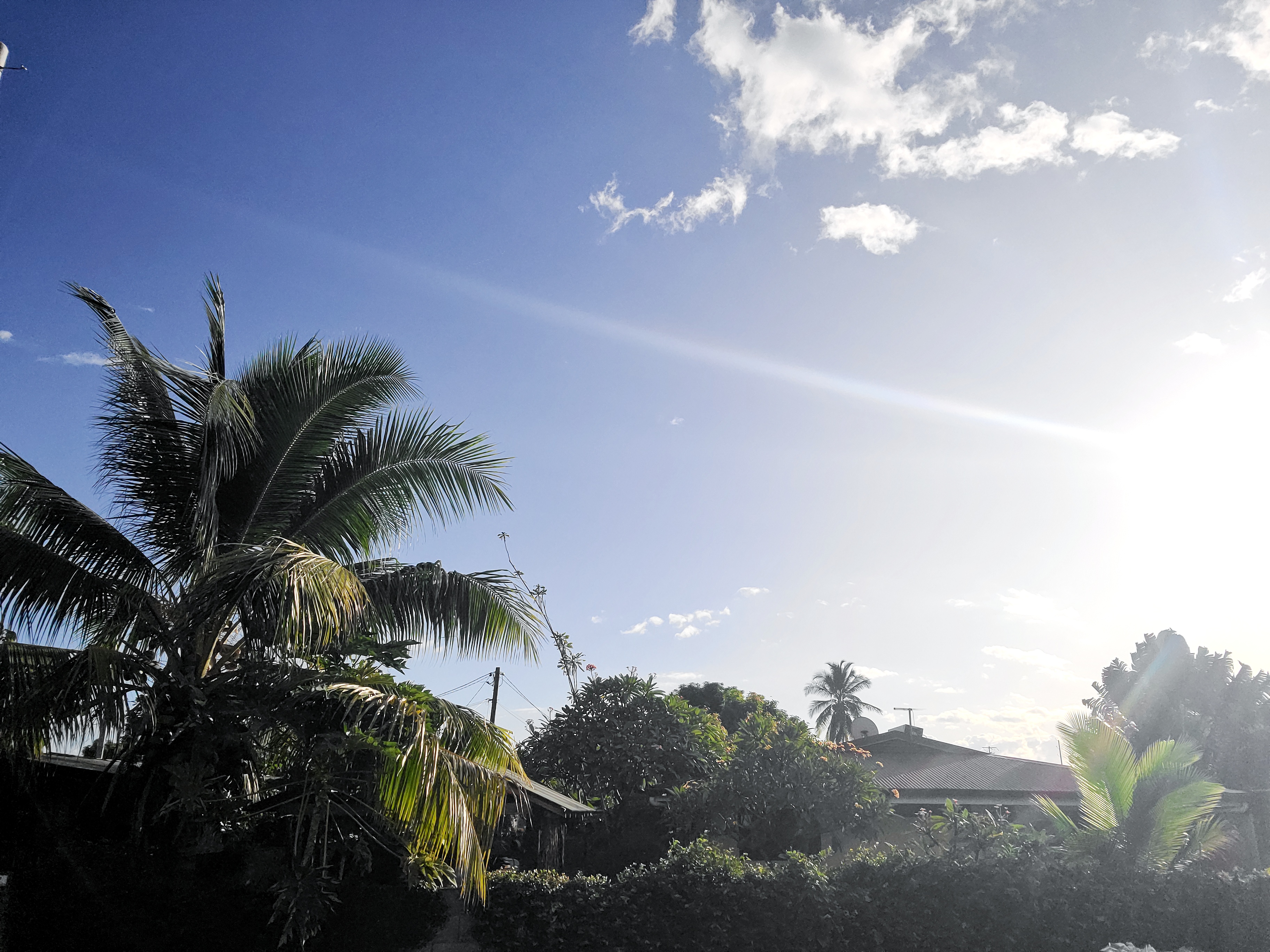 2022 Tahiti Taravao HXP - Day 15 (Epic Morning Devotional, Volunteering at Youth Center, Working at Community Garden on Mountain, Solis, Tiana Sees Her New House, Vaihiria Ward Activity: Coconut Milk, Learning Drums & Tahitian Dances, Making Flower Crowns