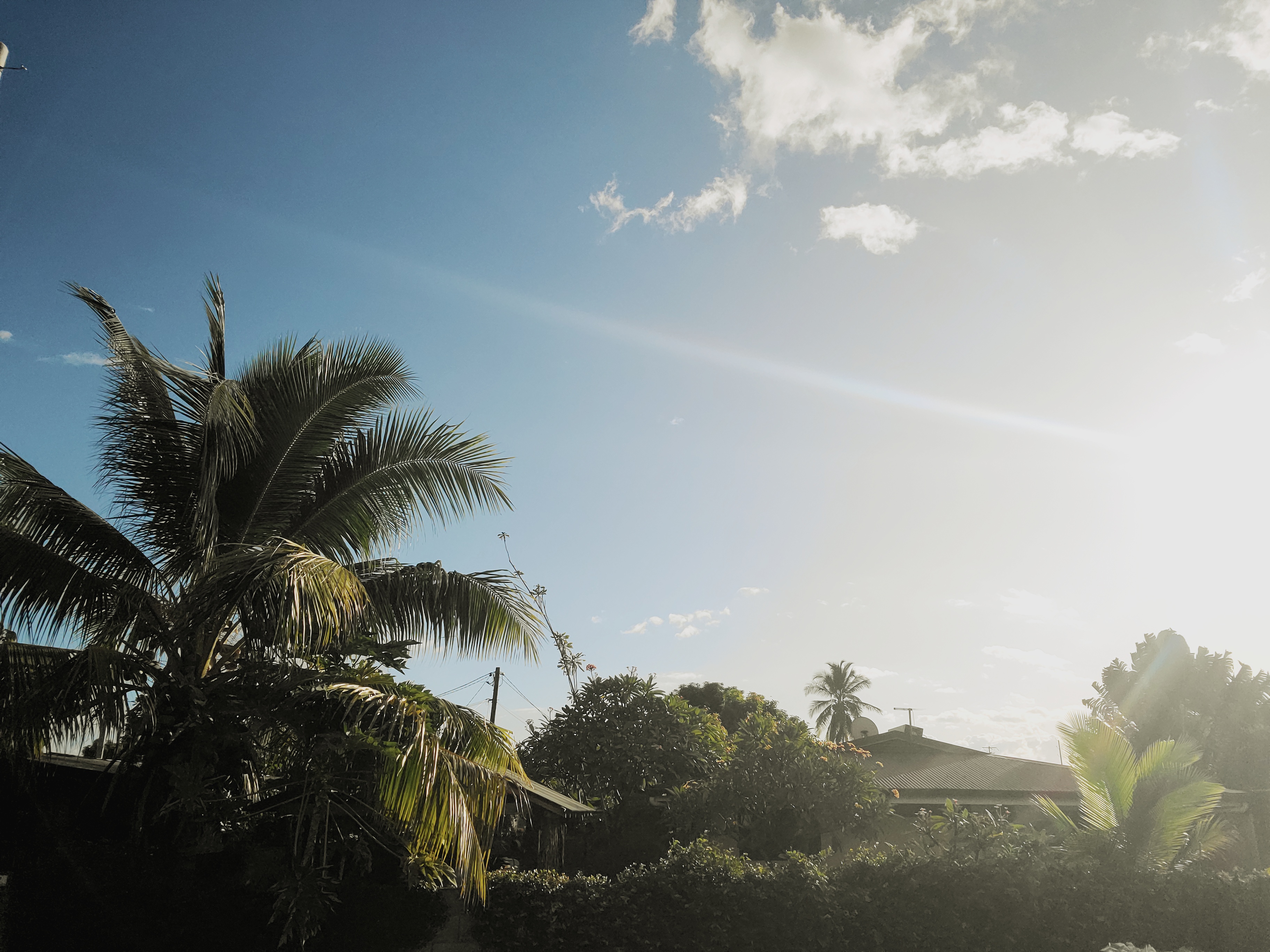 2022 Tahiti Taravao HXP - Day 15 (Epic Morning Devotional, Volunteering at Youth Center, Working at Community Garden on Mountain, Solis, Tiana Sees Her New House, Vaihiria Ward Activity: Coconut Milk, Learning Drums & Tahitian Dances, Making Flower Crowns