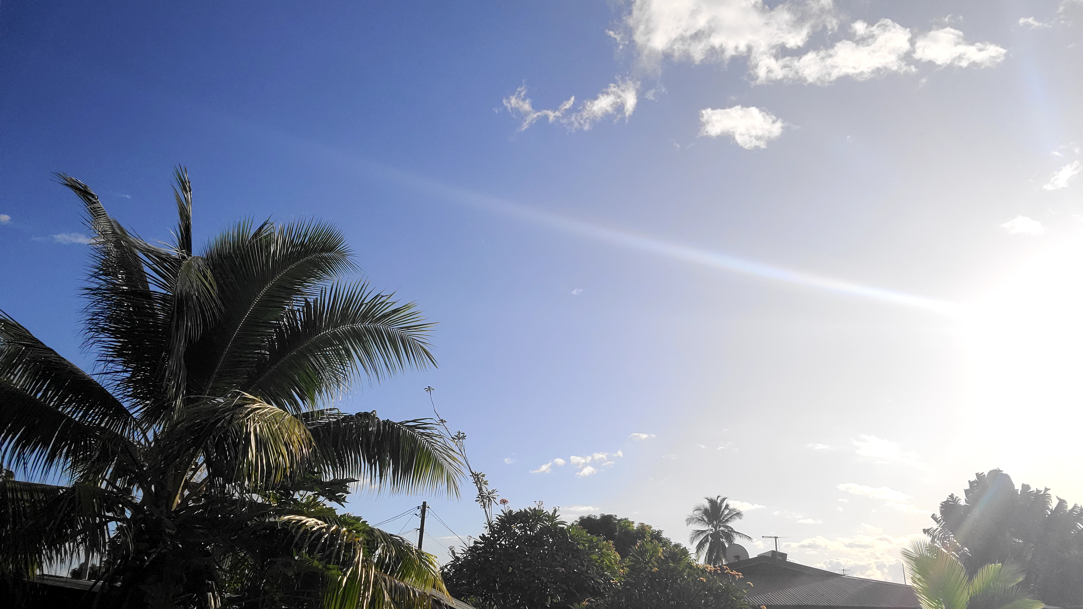 2022 Tahiti Taravao HXP - Day 15 (Epic Morning Devotional, Volunteering at Youth Center, Working at Community Garden on Mountain, Solis, Tiana Sees Her New House, Vaihiria Ward Activity: Coconut Milk, Learning Drums & Tahitian Dances, Making Flower Crowns