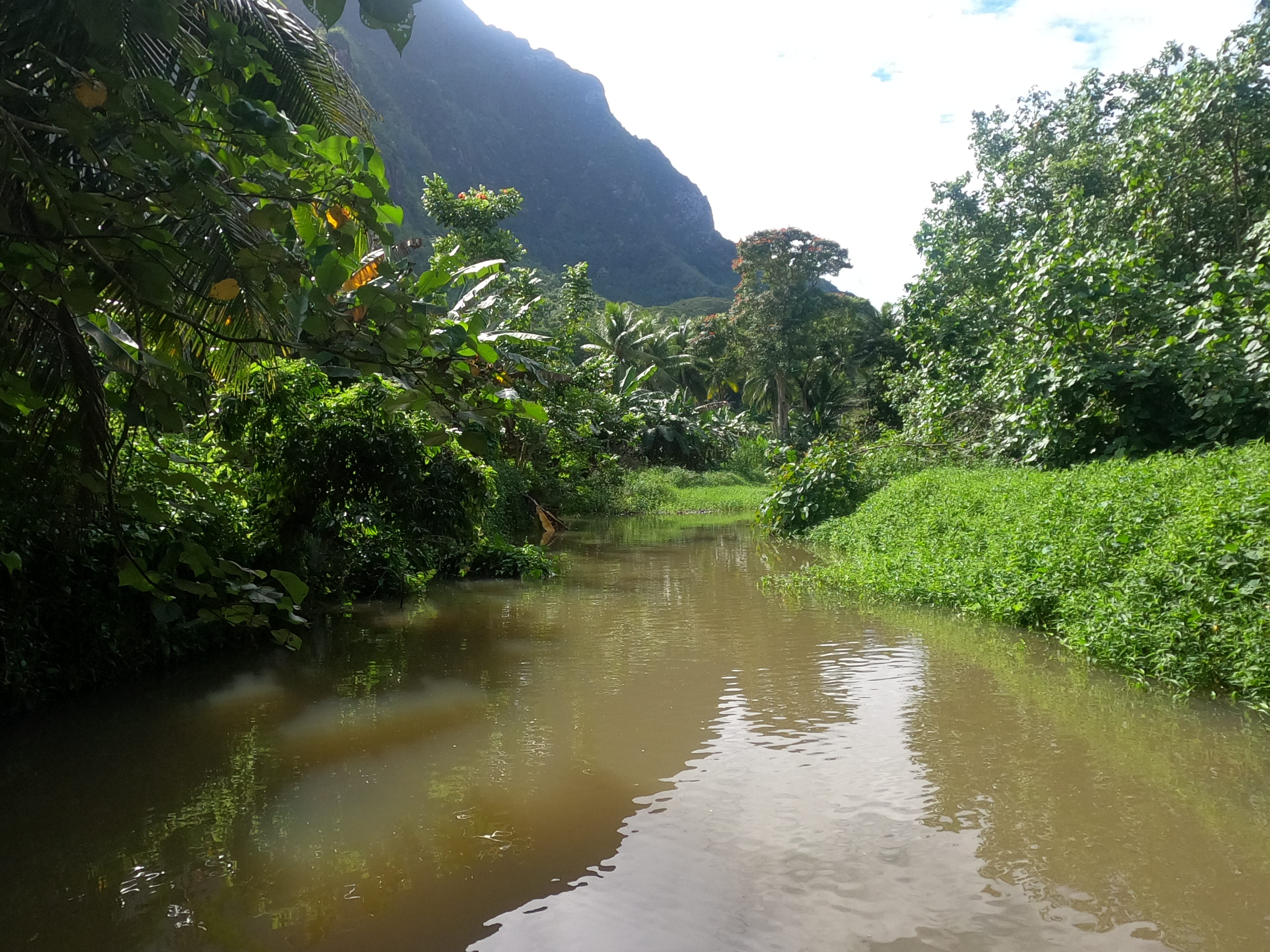 2022 Tahiti Taravao HXP - Day 3 (Devotional, Moorea Jeep Safari, Magic Mountain Overlook, Jam Tasting, Belvedere Lookout, Marae-o-Mahine, Touching Sacred Eels, Fresh Pineapple & Coconut, Making Headbands, Beach Games, Tahitian Dance & Fire Show)