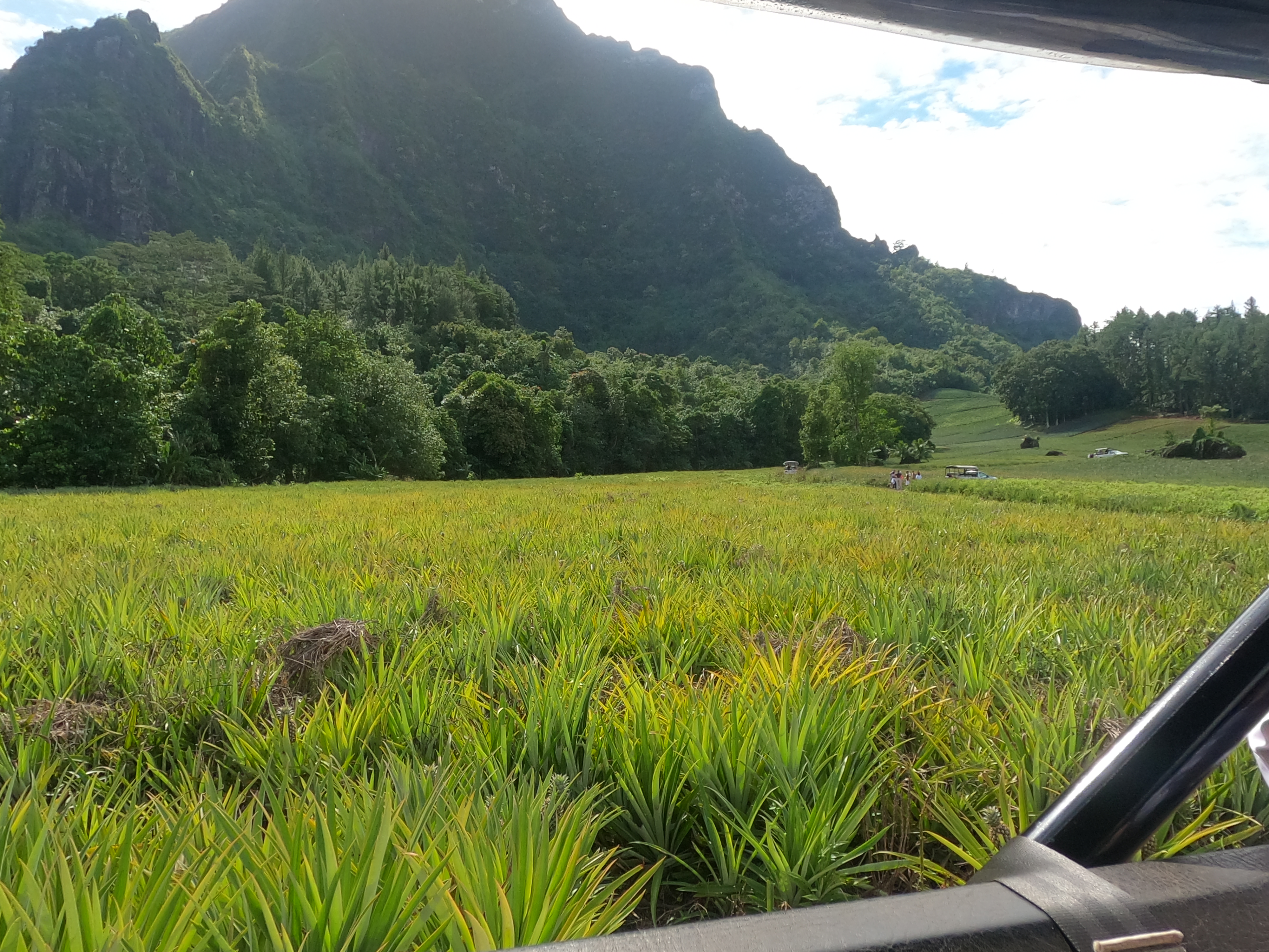 2022 Tahiti Taravao HXP - Day 3 (Devotional, Moorea Jeep Safari, Magic Mountain Overlook, Jam Tasting, Belvedere Lookout, Marae-o-Mahine, Touching Sacred Eels, Fresh Pineapple & Coconut, Making Headbands, Beach Games, Tahitian Dance & Fire Show)