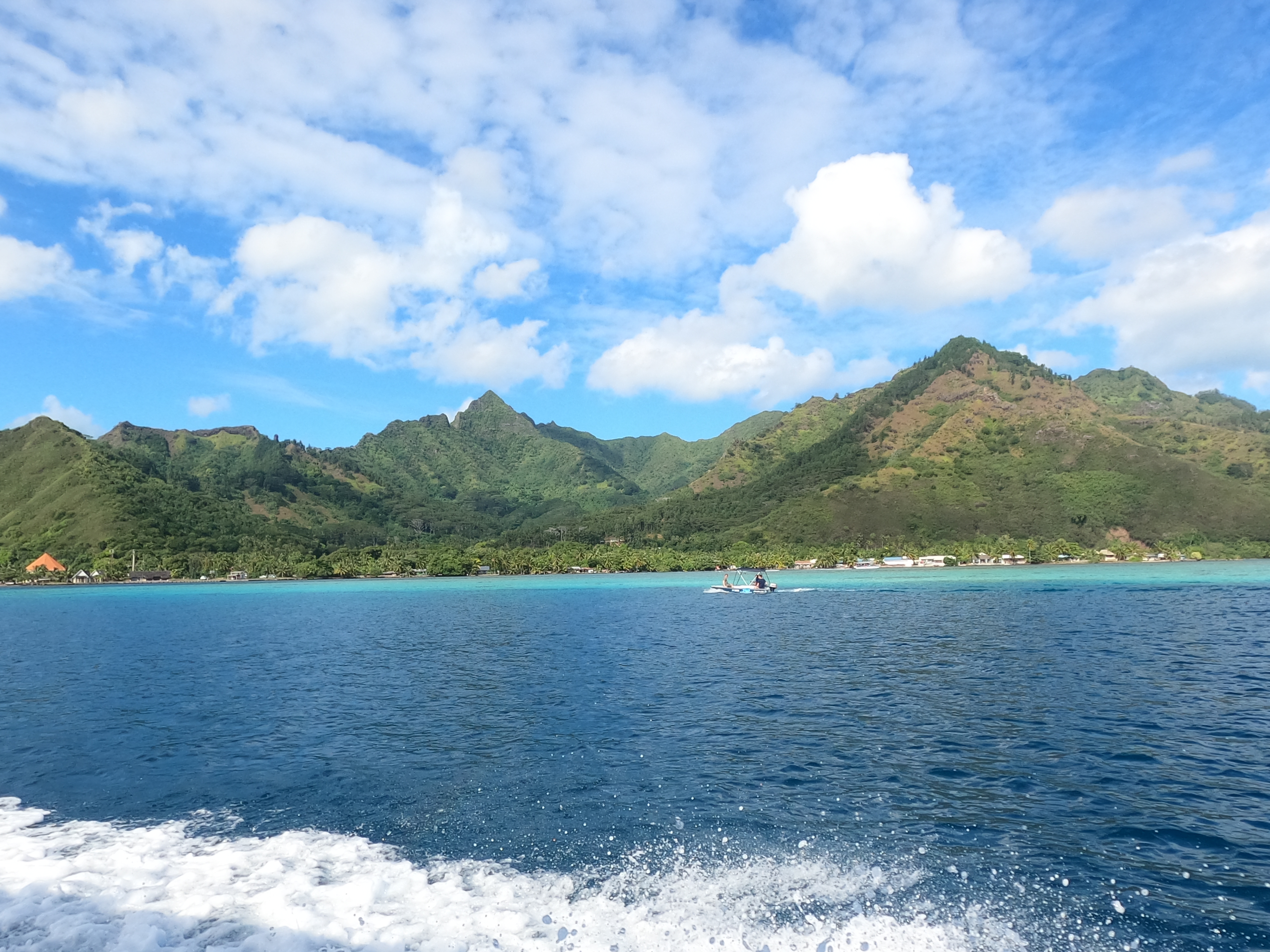 2022 Tahiti Taravao HXP - Day 4 (Kass's Birthday, Swimming with Sharks & Stingrays, Motu Fareone Island, Making Motu Fareone (E'ia Ota), Catching Crabs for 'Alca-Crab', Dance Party on Ferry to Tahiti, Catching Geckos)