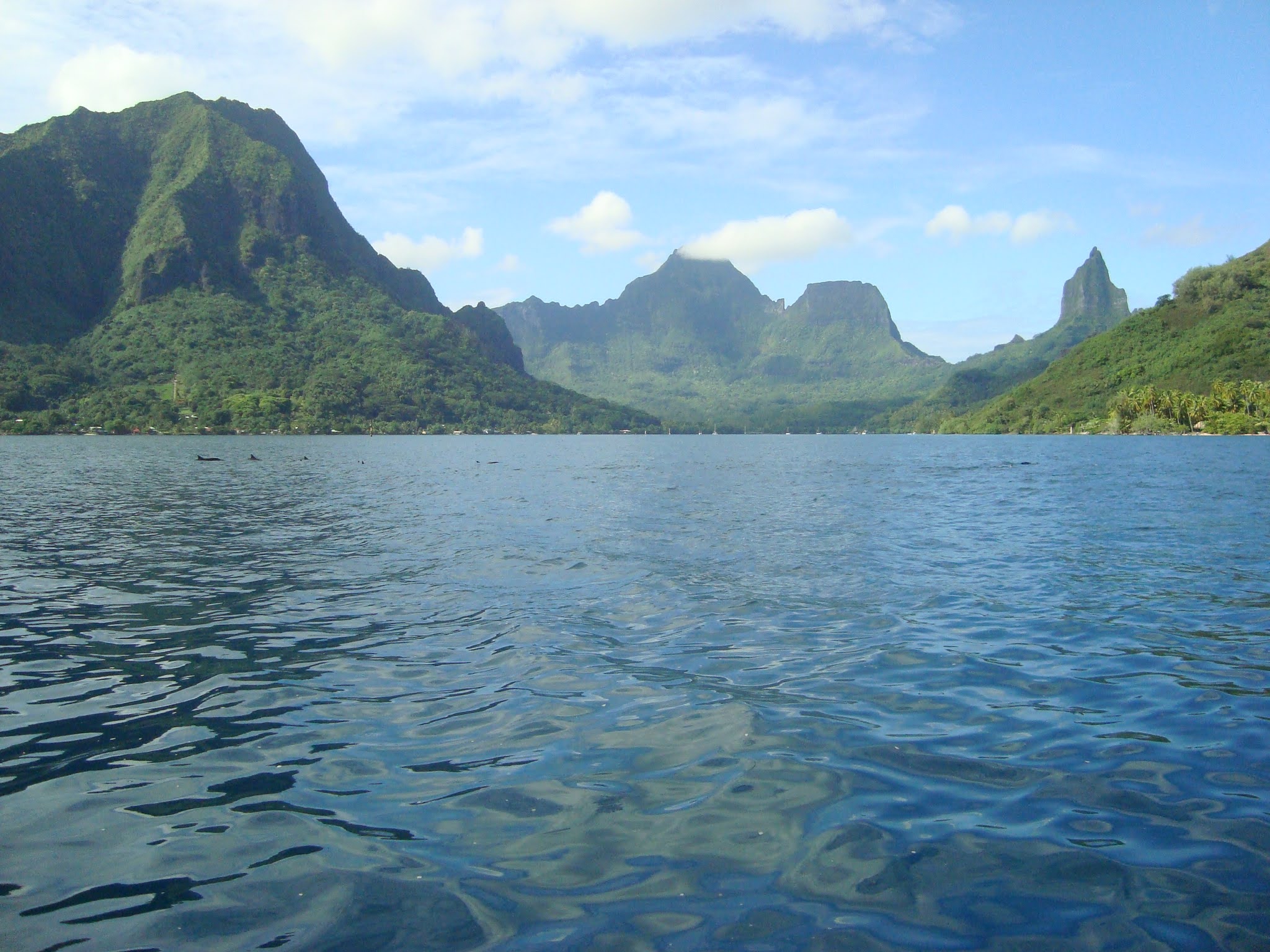 2022 Tahiti Taravao HXP - Day 4 (Kass's Birthday, Swimming with Sharks & Stingrays, Motu Fareone Island, Making Motu Fareone (E'ia Ota), Catching Crabs for 'Alca-Crab', Dance Party on Ferry to Tahiti, Catching Geckos)