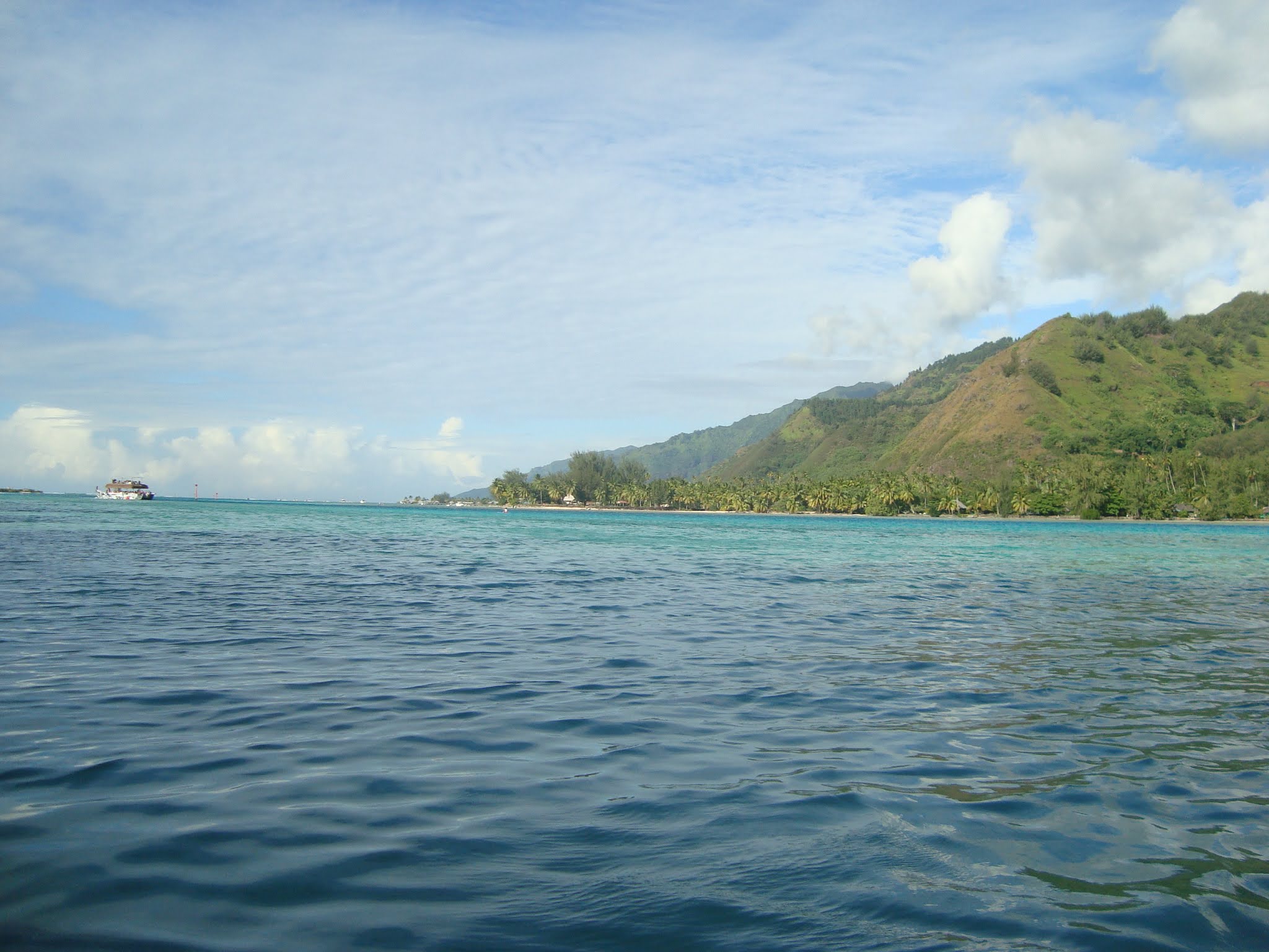 2022 Tahiti Taravao HXP - Day 4 (Kass's Birthday, Swimming with Sharks & Stingrays, Motu Fareone Island, Making Motu Fareone (E'ia Ota), Catching Crabs for 'Alca-Crab', Dance Party on Ferry to Tahiti, Catching Geckos)