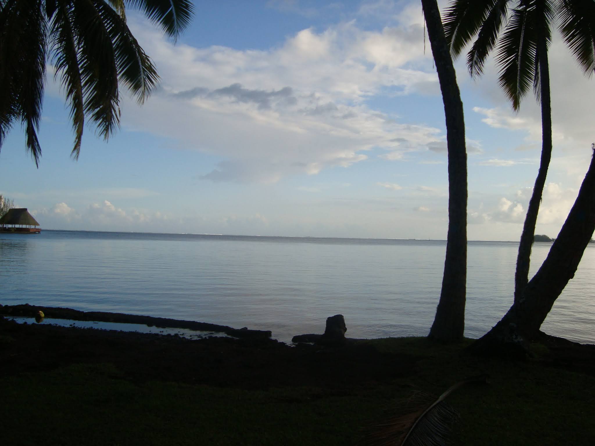 2022 Tahiti Taravao HXP - Day 5 (Staying at Hiti Moana Villa, Church with ❤ Bishop Taylor ❤, Harrison Smith Botanical Garden, Youth Activity & Dinner & Singing with the Papara Ward)