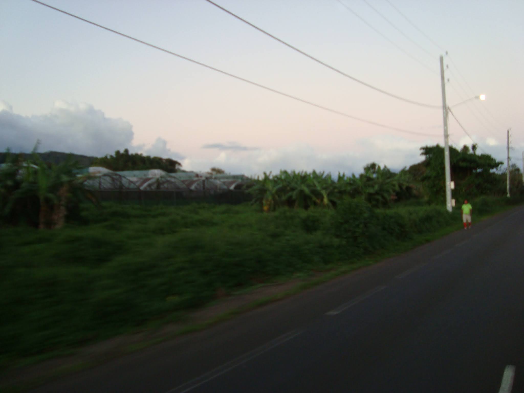 2022 Tahiti Taravao HXP - Day 15 (Epic Morning Devotional, Volunteering at Youth Center, Working at Community Garden on Mountain, Solis, Tiana Sees Her New House, Vaihiria Ward Activity: Coconut Milk, Learning Drums & Tahitian Dances, Making Flower Crowns