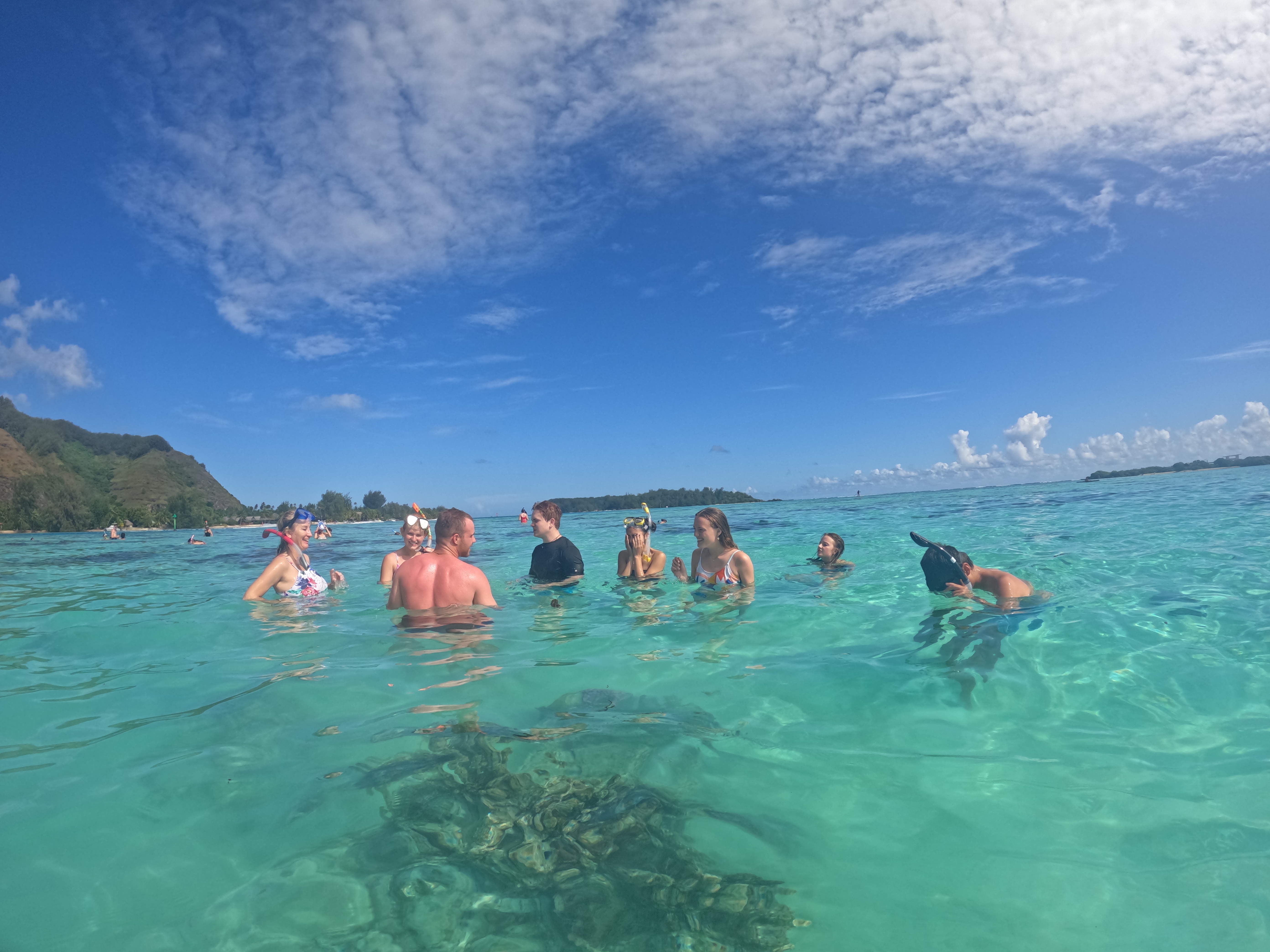 2022 Tahiti Taravao HXP - Day 4 (Kass's Birthday, Swimming with Sharks & Stingrays, Motu Fareone Island, Making Motu Fareone (E'ia Ota), Catching Crabs for 'Alca-Crab', Dance Party on Ferry to Tahiti, Catching Geckos)