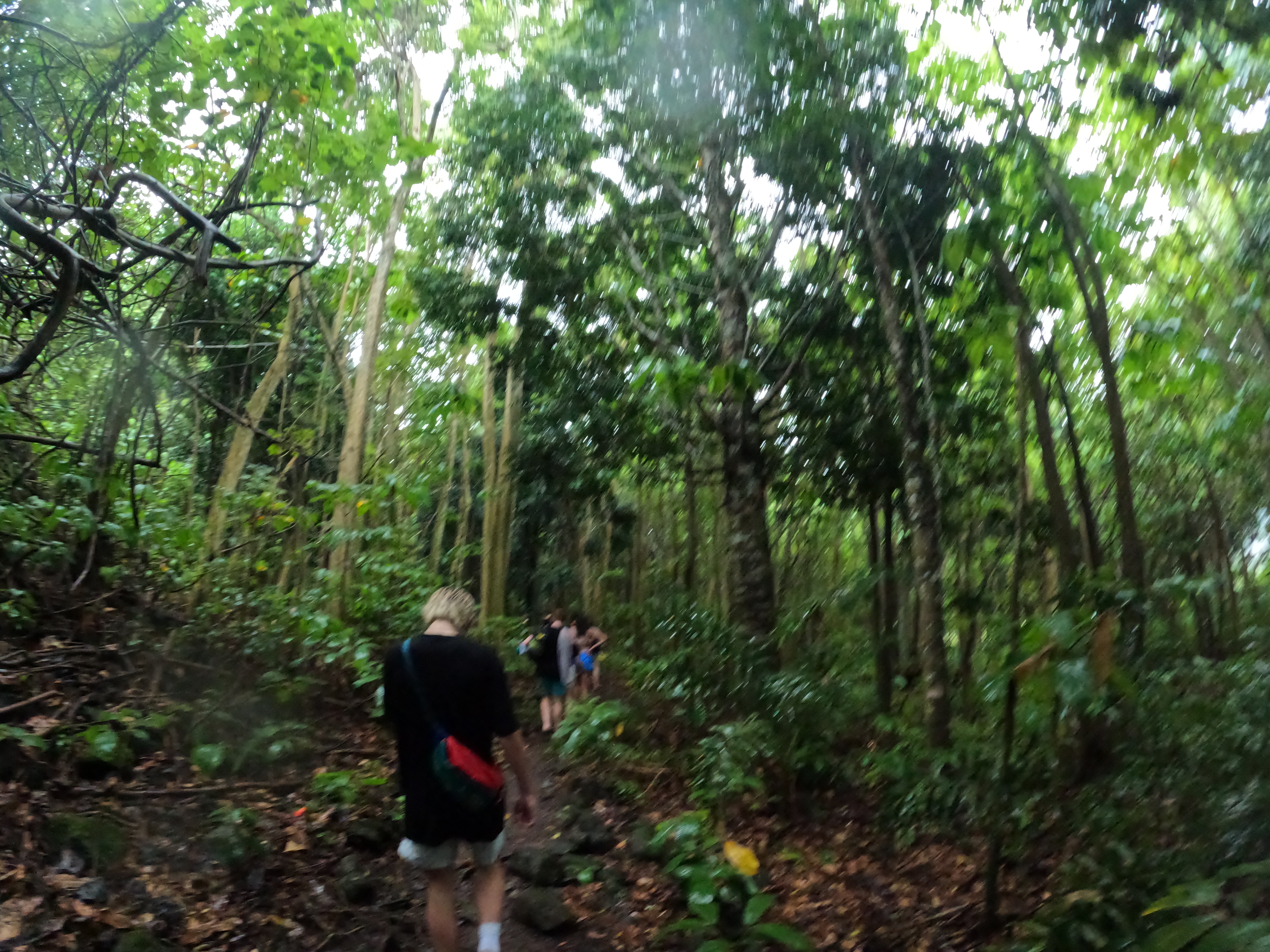 2022 Tahiti Taravao HXP - Day 2 (Arrival in Tahiti!, Narii & Escuela Teach us a Tahitian Dance, Ferry to Mo'orea / Moorea, Hiking, 18 in Small Truck, Va'a Canoes, Crepes)