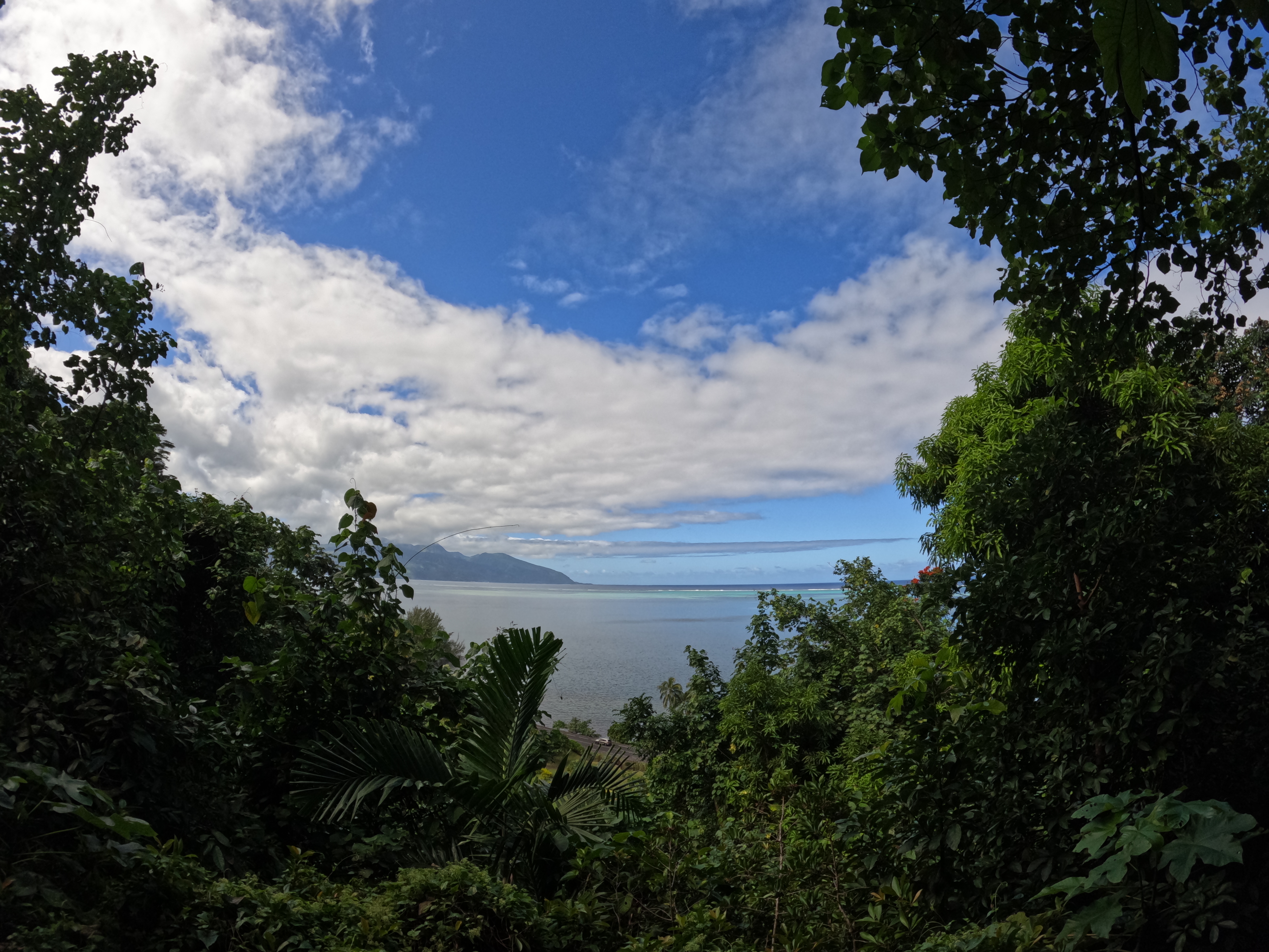 2022 Tahiti Taravao HXP - Day 12 (Church with Vaihiria Ward, Water Gardens Vaipahi Waterfall & Hike, Sacred Eels, Turtles, Haircut, Activity with Vaihiria Ward Youth, Averie's Birthday, Letters Home)