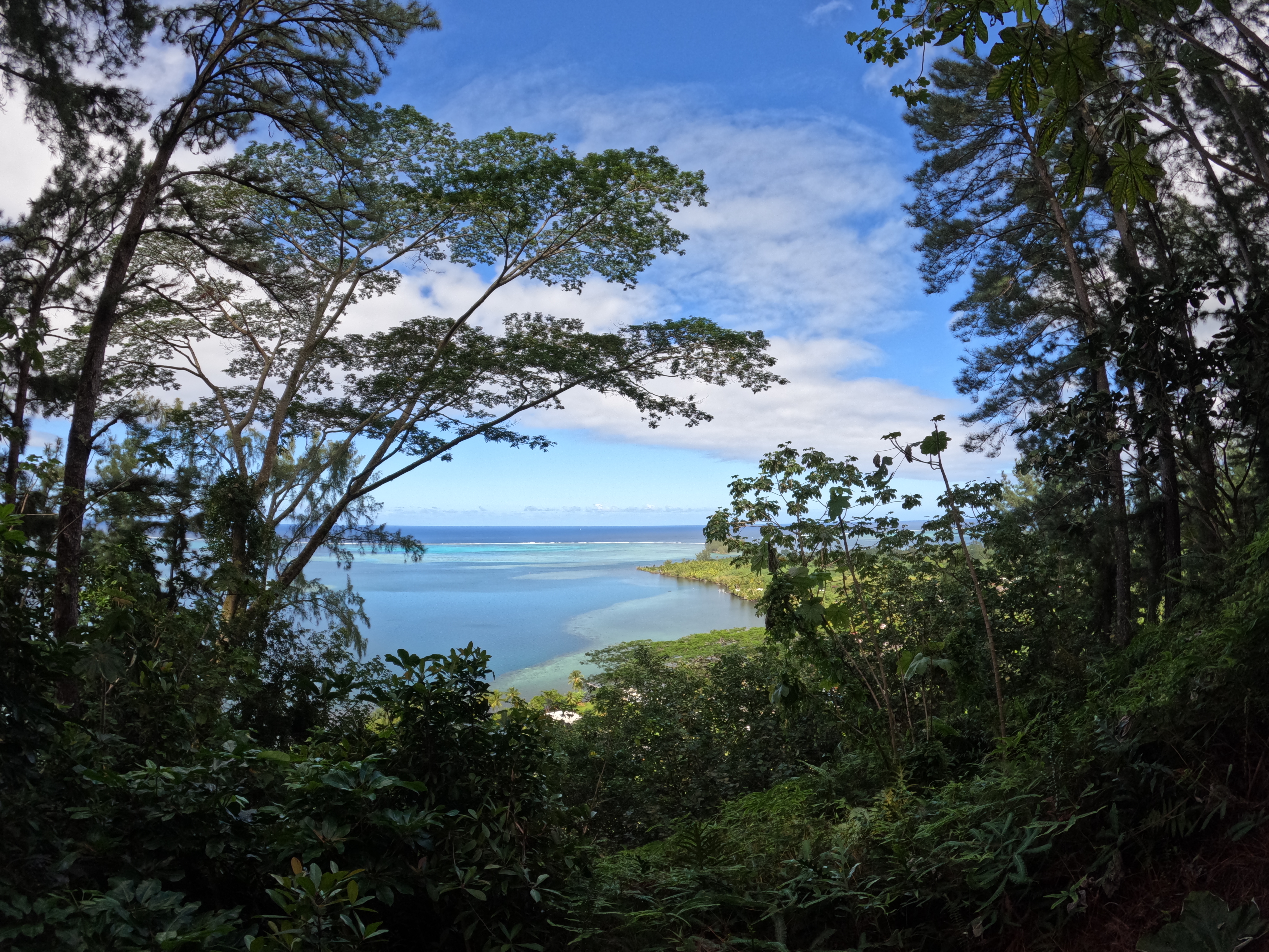 2022 Tahiti Taravao HXP - Day 12 (Church with Vaihiria Ward, Water Gardens Vaipahi Waterfall & Hike, Sacred Eels, Turtles, Haircut, Activity with Vaihiria Ward Youth, Averie's Birthday, Letters Home)