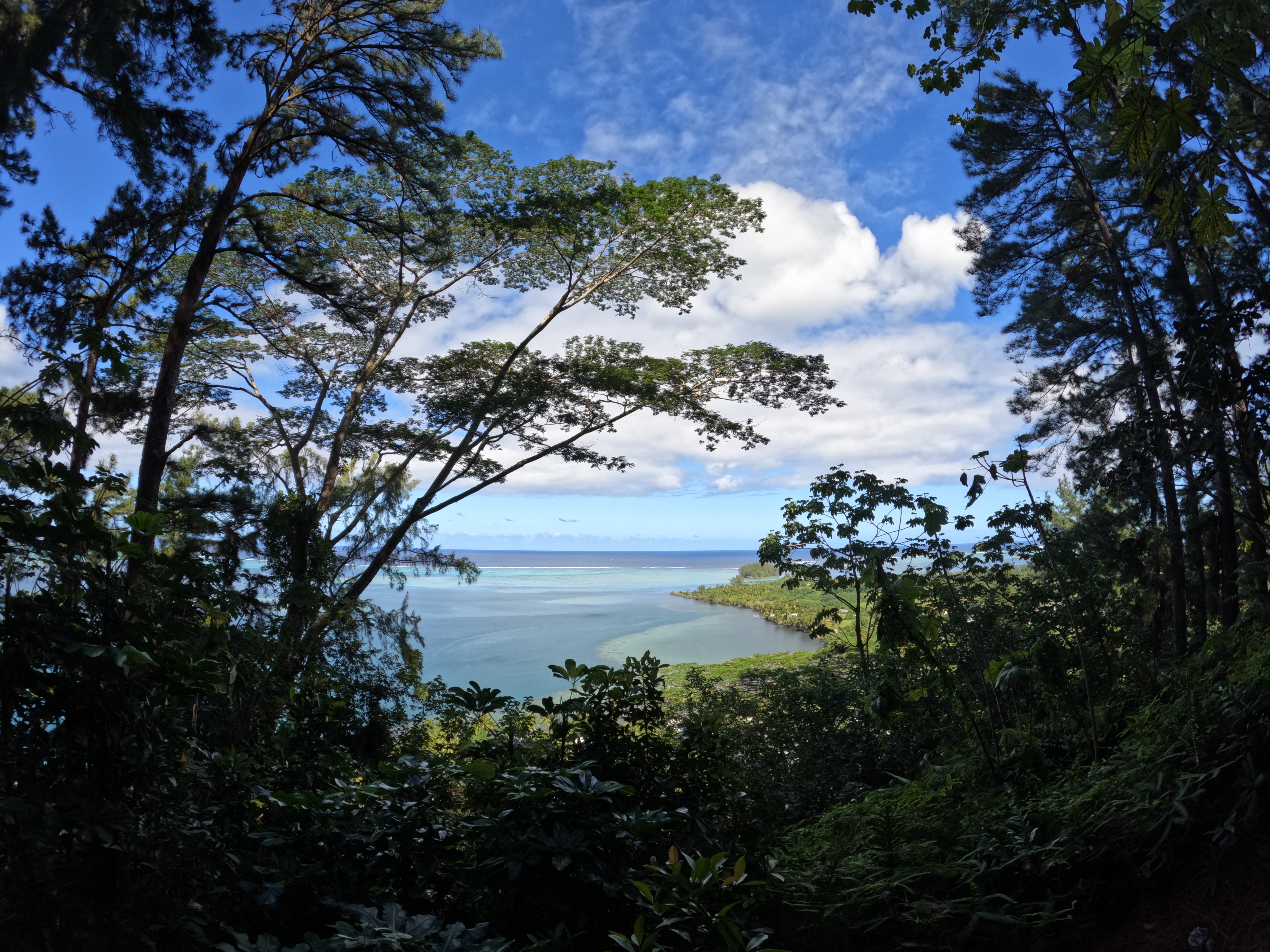 2022 Tahiti Taravao HXP - Day 12 (Church with Vaihiria Ward, Water Gardens Vaipahi Waterfall & Hike, Sacred Eels, Turtles, Haircut, Activity with Vaihiria Ward Youth, Averie's Birthday, Letters Home)