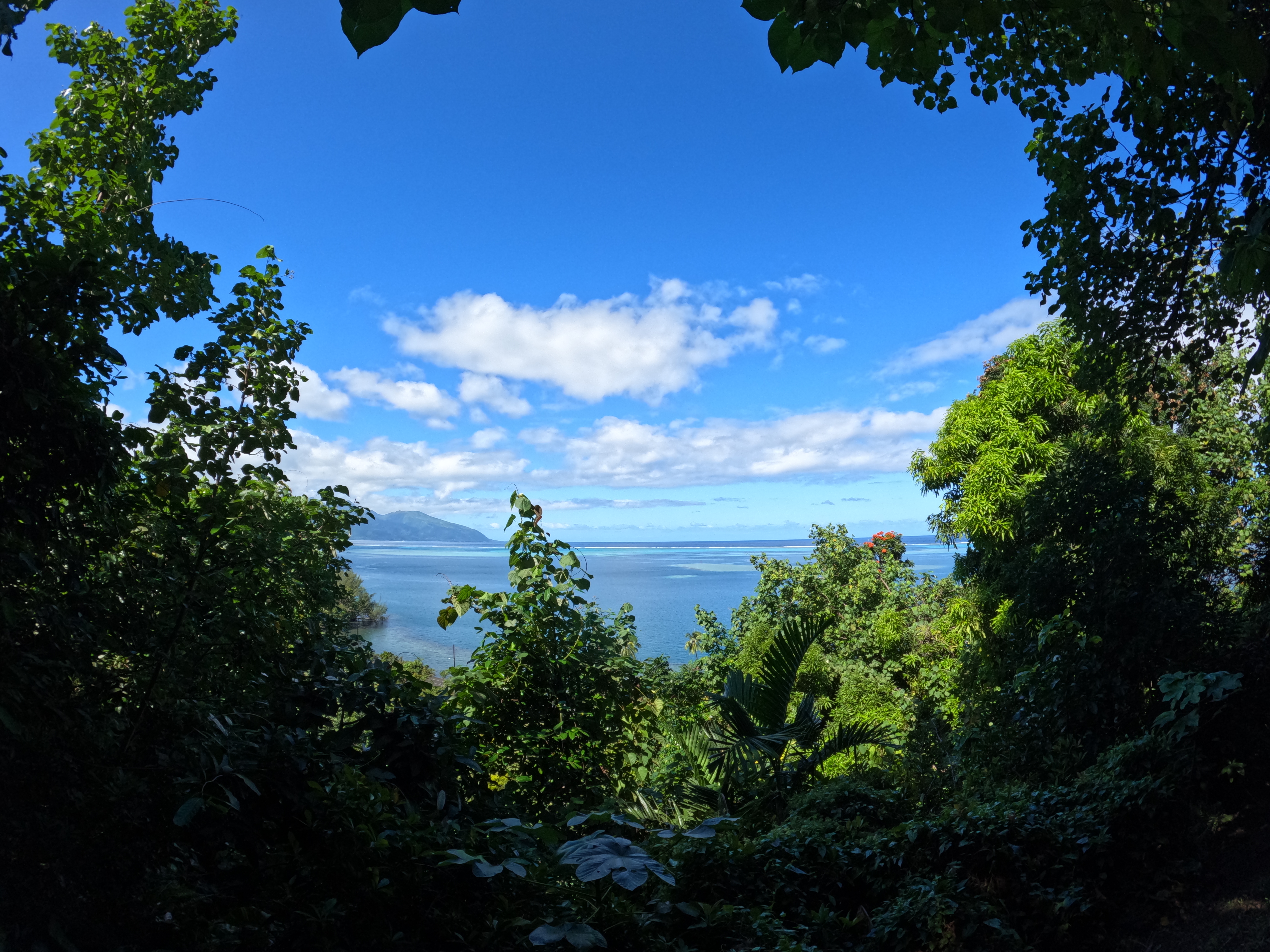 2022 Tahiti Taravao HXP - Day 12 (Church with Vaihiria Ward, Water Gardens Vaipahi Waterfall & Hike, Sacred Eels, Turtles, Haircut, Activity with Vaihiria Ward Youth, Averie's Birthday, Letters Home)