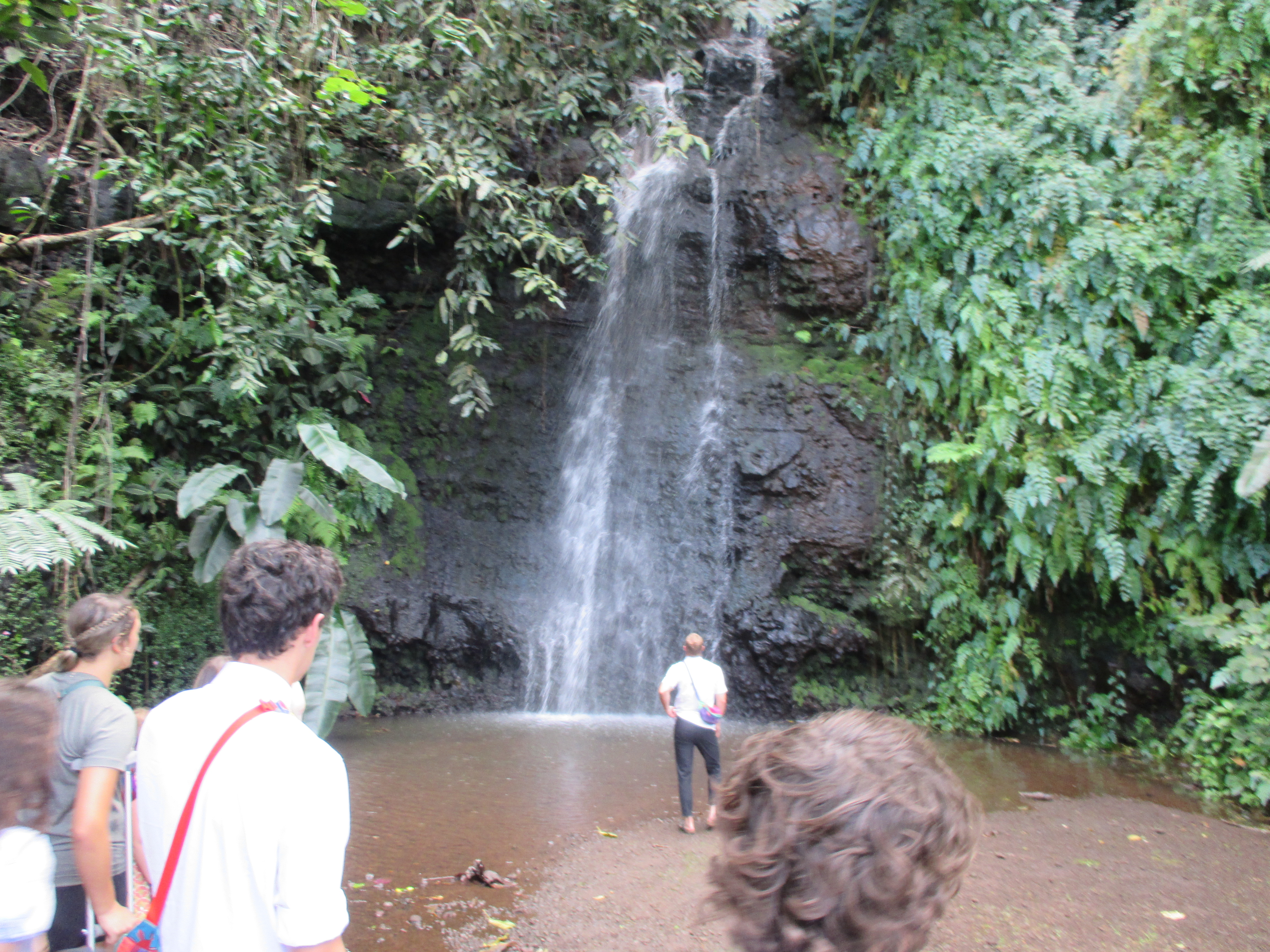 2022 Tahiti Taravao HXP - Day 12 (Church with Vaihiria Ward, Water Gardens Vaipahi Waterfall & Hike, Sacred Eels, Turtles, Haircut, Activity with Vaihiria Ward Youth, Averie's Birthday, Letters Home)