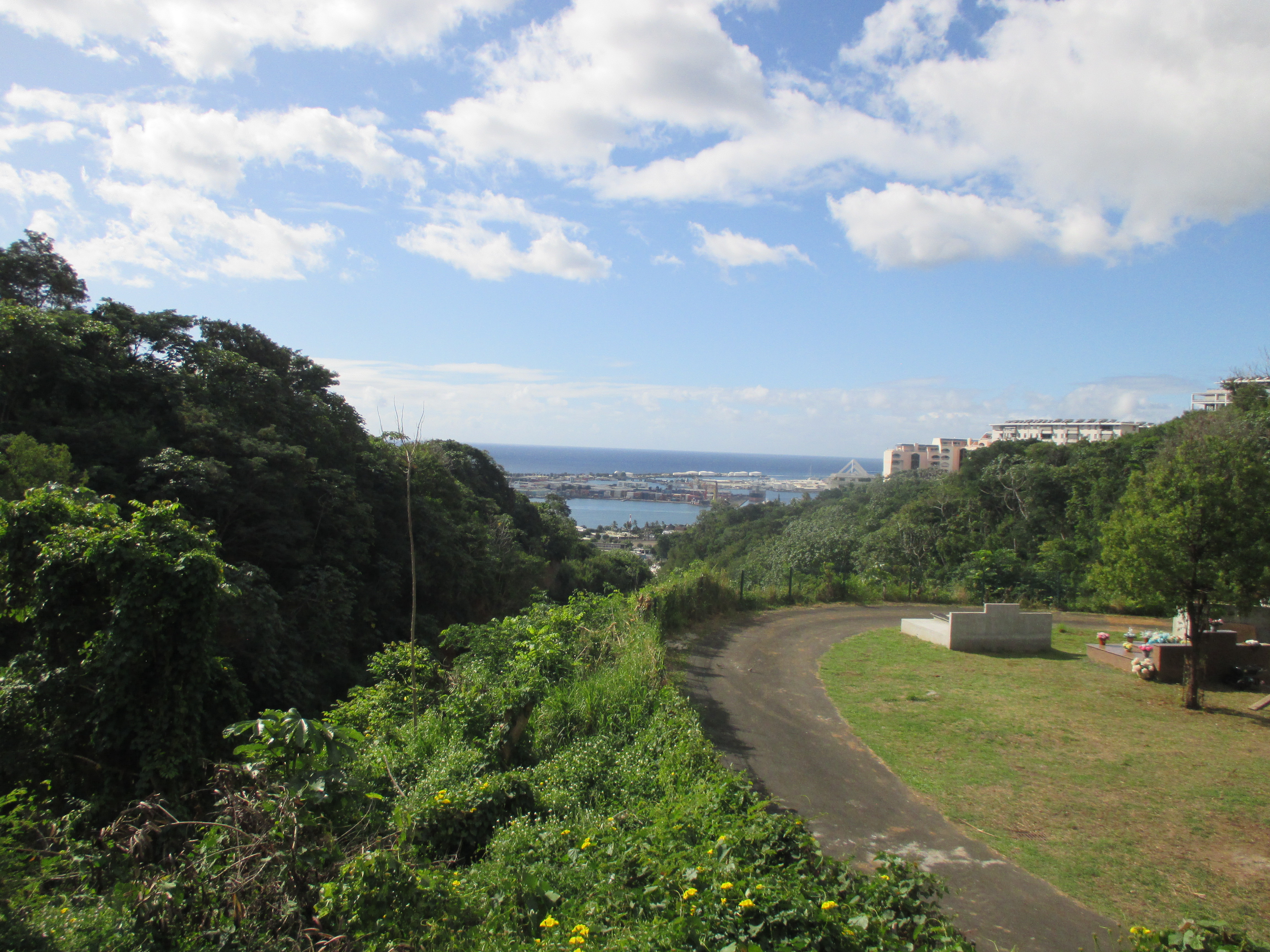 2022 Tahiti Taravao HXP - Day 14 (Cleaning up Papeete Urania Cemetery, Ordering 