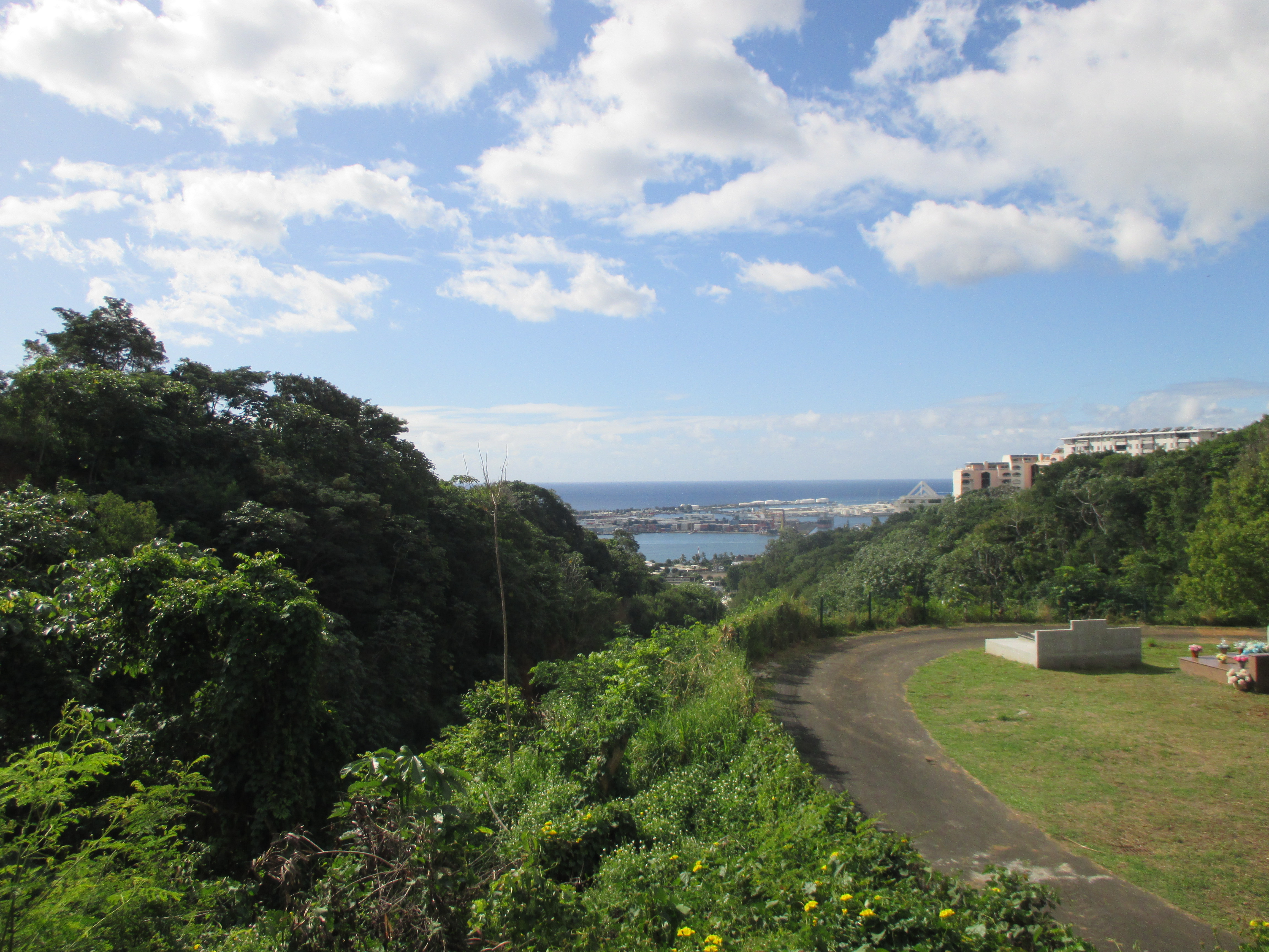 2022 Tahiti Taravao HXP - Day 14 (Cleaning up Papeete Urania Cemetery, Ordering 