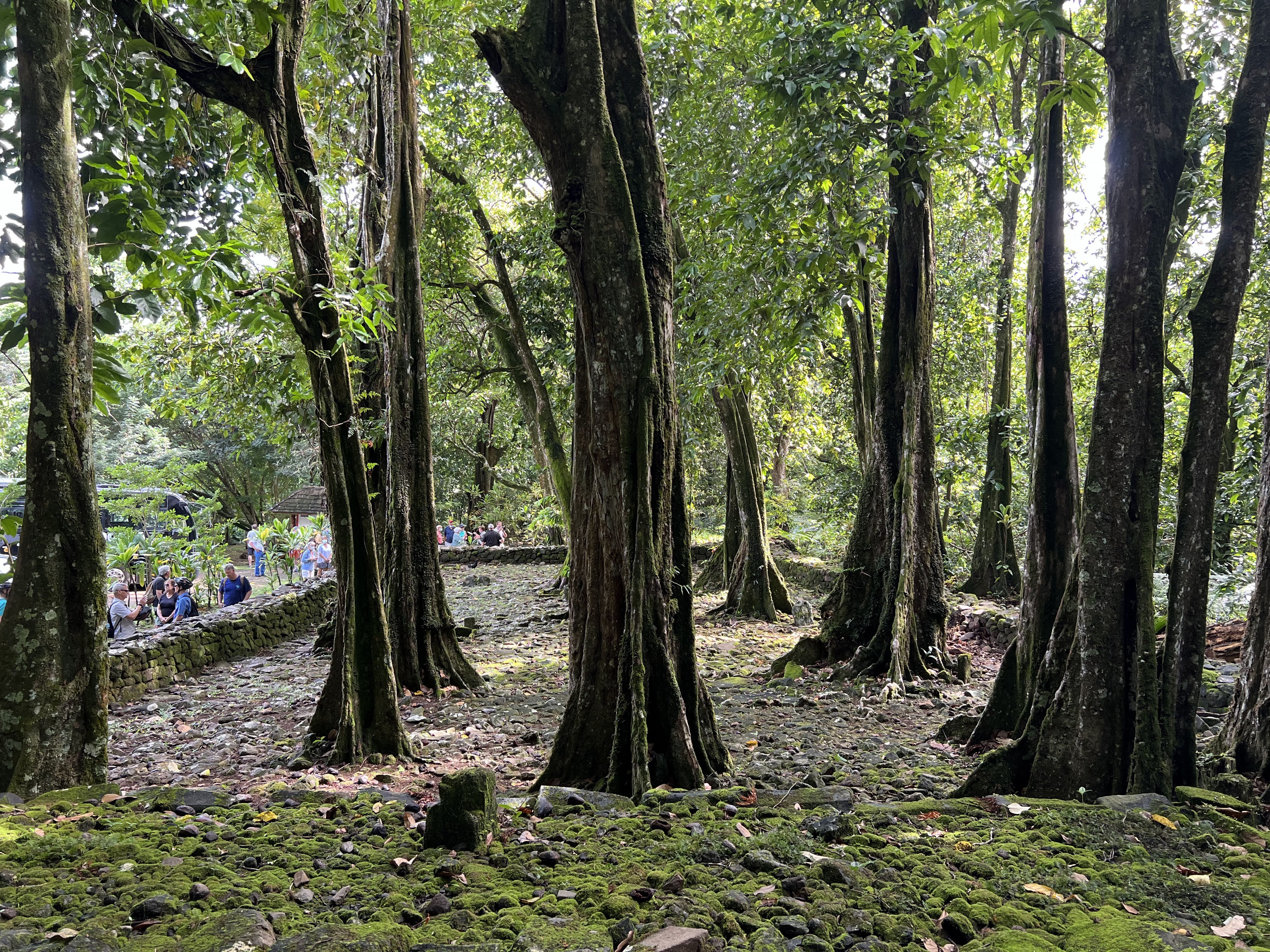 2022 Tahiti Taravao HXP - Day 3 (Devotional, Moorea Jeep Safari, Magic Mountain Overlook, Jam Tasting, Belvedere Lookout, Marae-o-Mahine, Touching Sacred Eels, Fresh Pineapple & Coconut, Making Headbands, Beach Games, Tahitian Dance & Fire Show)