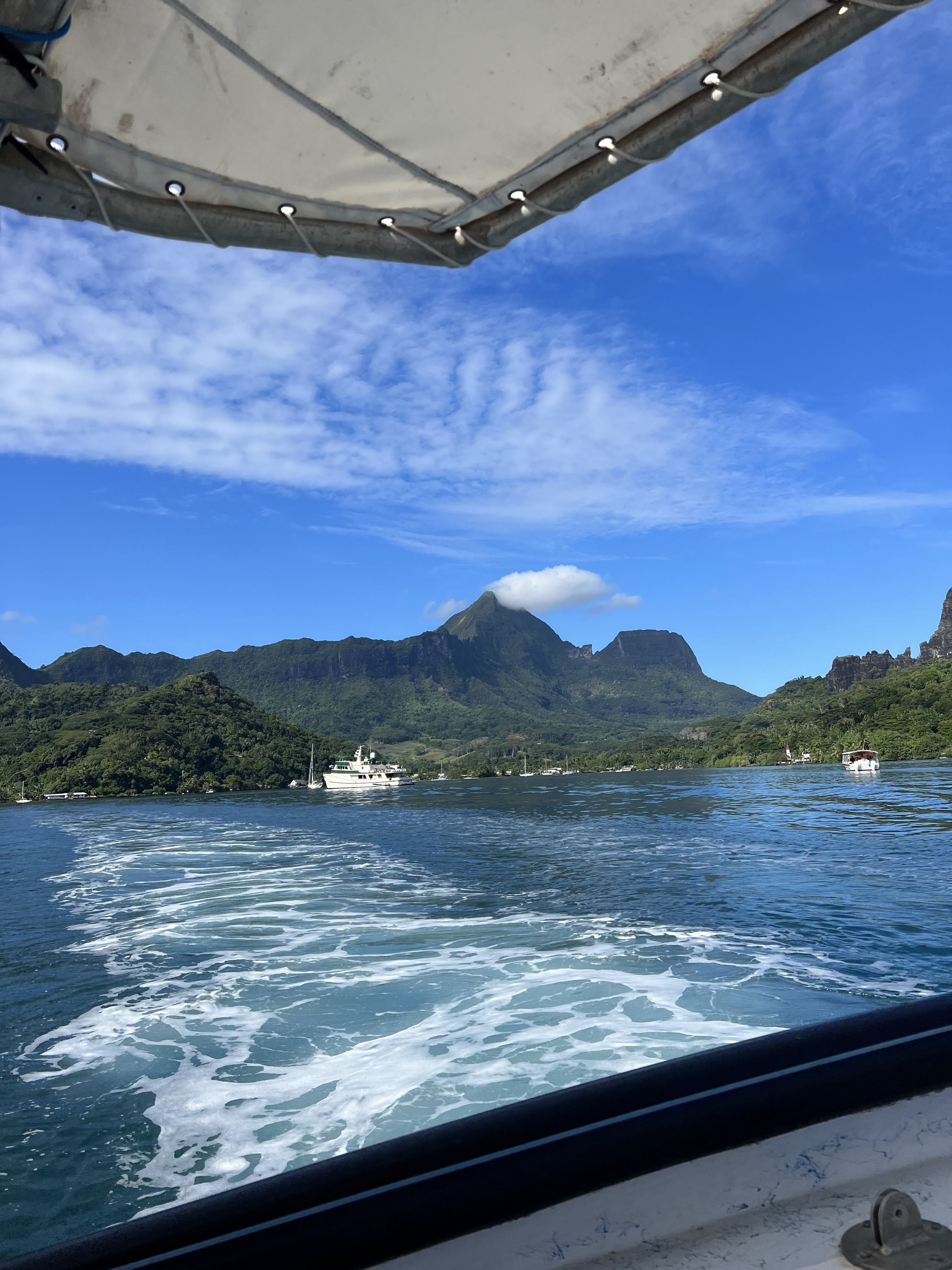 2022 Tahiti Taravao HXP - Day 4 (Kass's Birthday, Swimming with Sharks & Stingrays, Motu Fareone Island, Making Motu Fareone (E'ia Ota), Catching Crabs for 'Alca-Crab', Dance Party on Ferry to Tahiti, Catching Geckos)