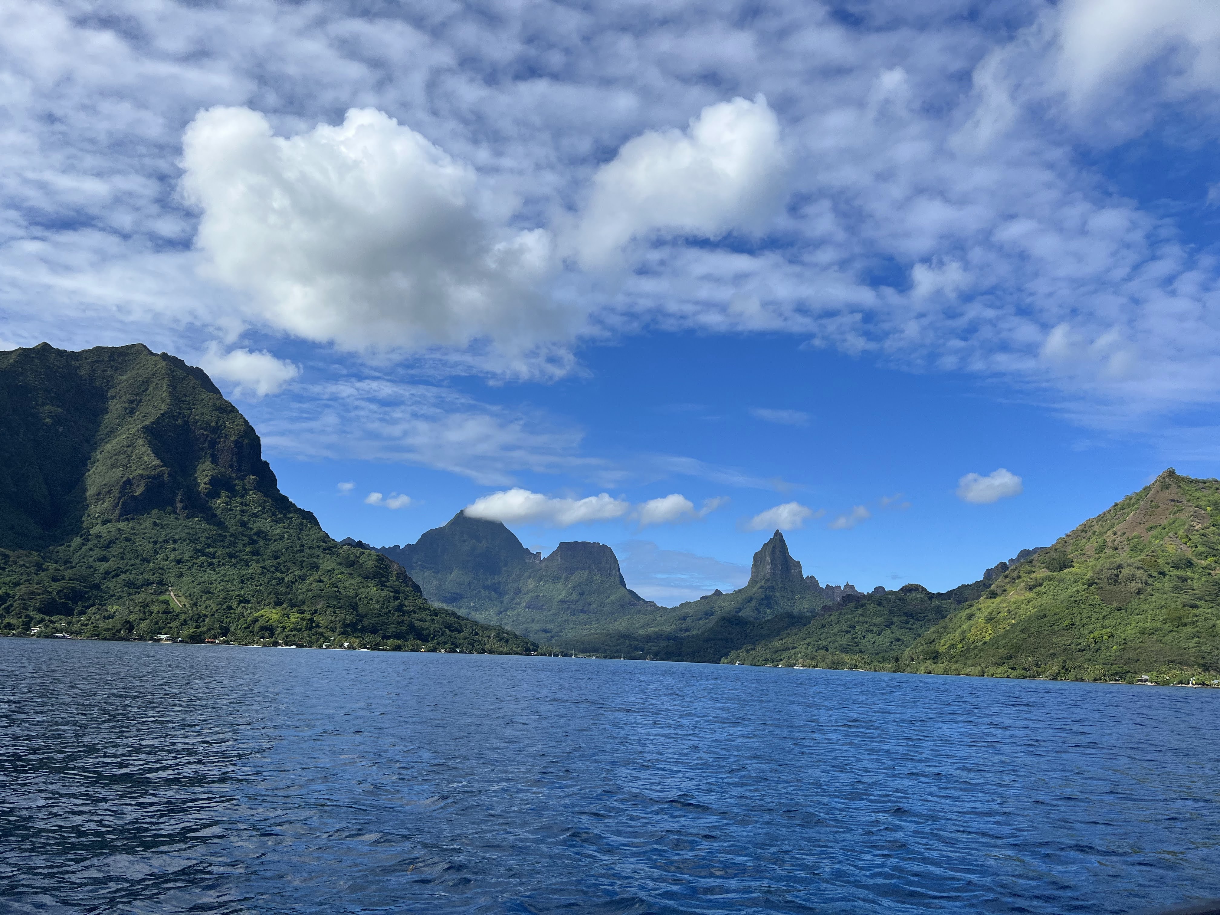 2022 Tahiti Taravao HXP - Day 4 (Kass's Birthday, Swimming with Sharks & Stingrays, Motu Fareone Island, Making Motu Fareone (E'ia Ota), Catching Crabs for 'Alca-Crab', Dance Party on Ferry to Tahiti, Catching Geckos)