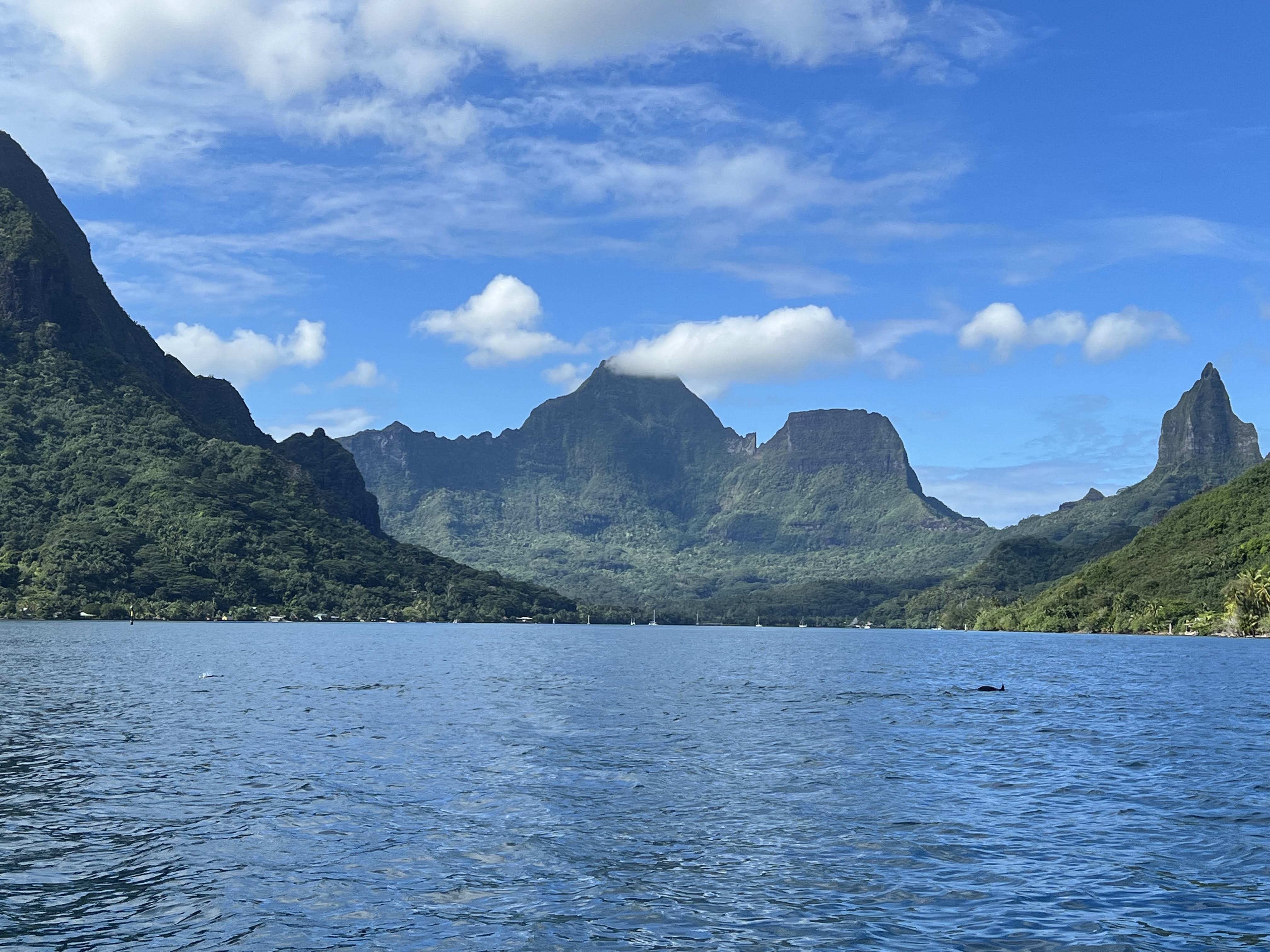 2022 Tahiti Taravao HXP - Day 4 (Kass's Birthday, Swimming with Sharks & Stingrays, Motu Fareone Island, Making Motu Fareone (E'ia Ota), Catching Crabs for 'Alca-Crab', Dance Party on Ferry to Tahiti, Catching Geckos)