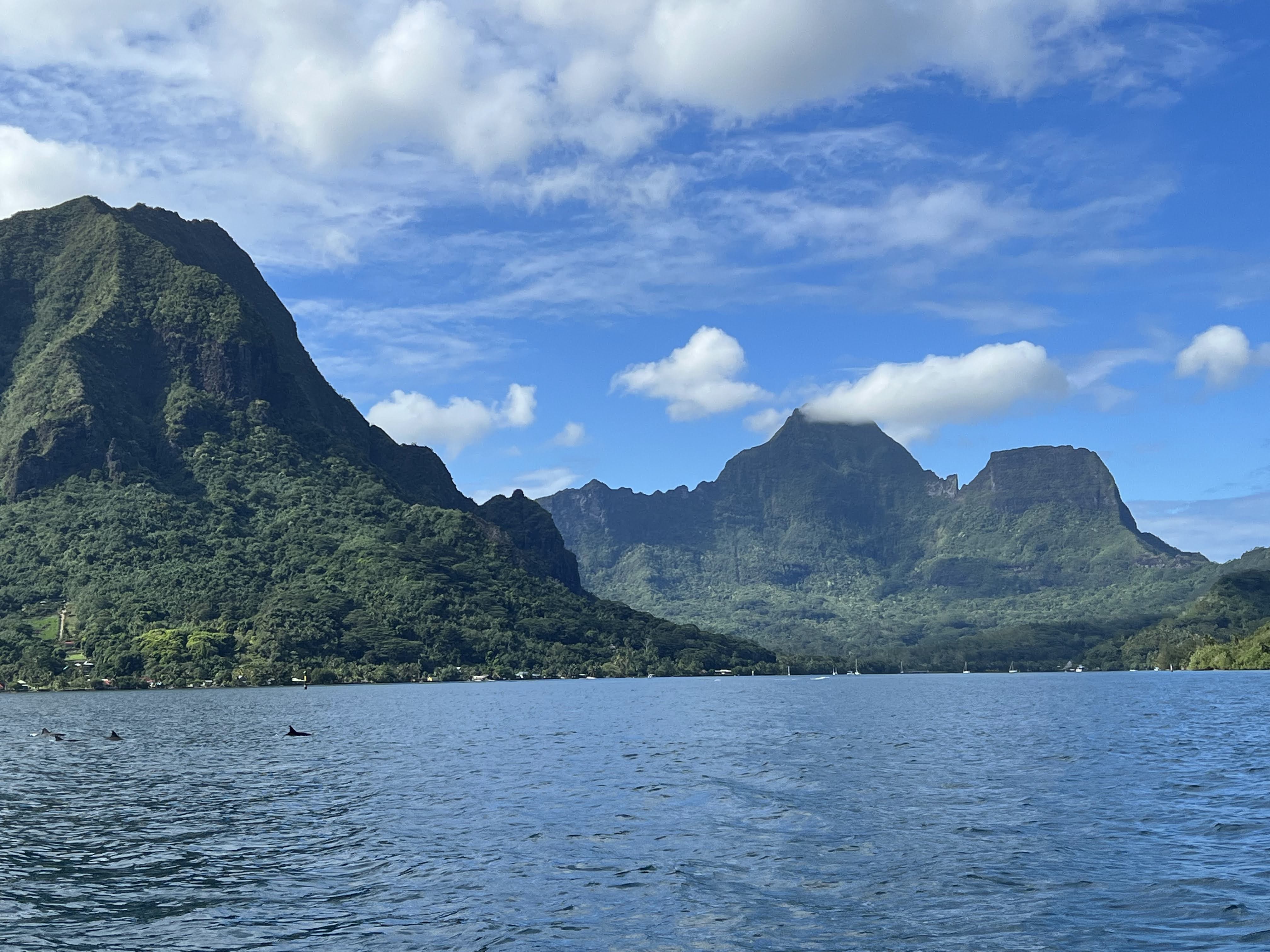 2022 Tahiti Taravao HXP - Day 4 (Kass's Birthday, Swimming with Sharks & Stingrays, Motu Fareone Island, Making Motu Fareone (E'ia Ota), Catching Crabs for 'Alca-Crab', Dance Party on Ferry to Tahiti, Catching Geckos)