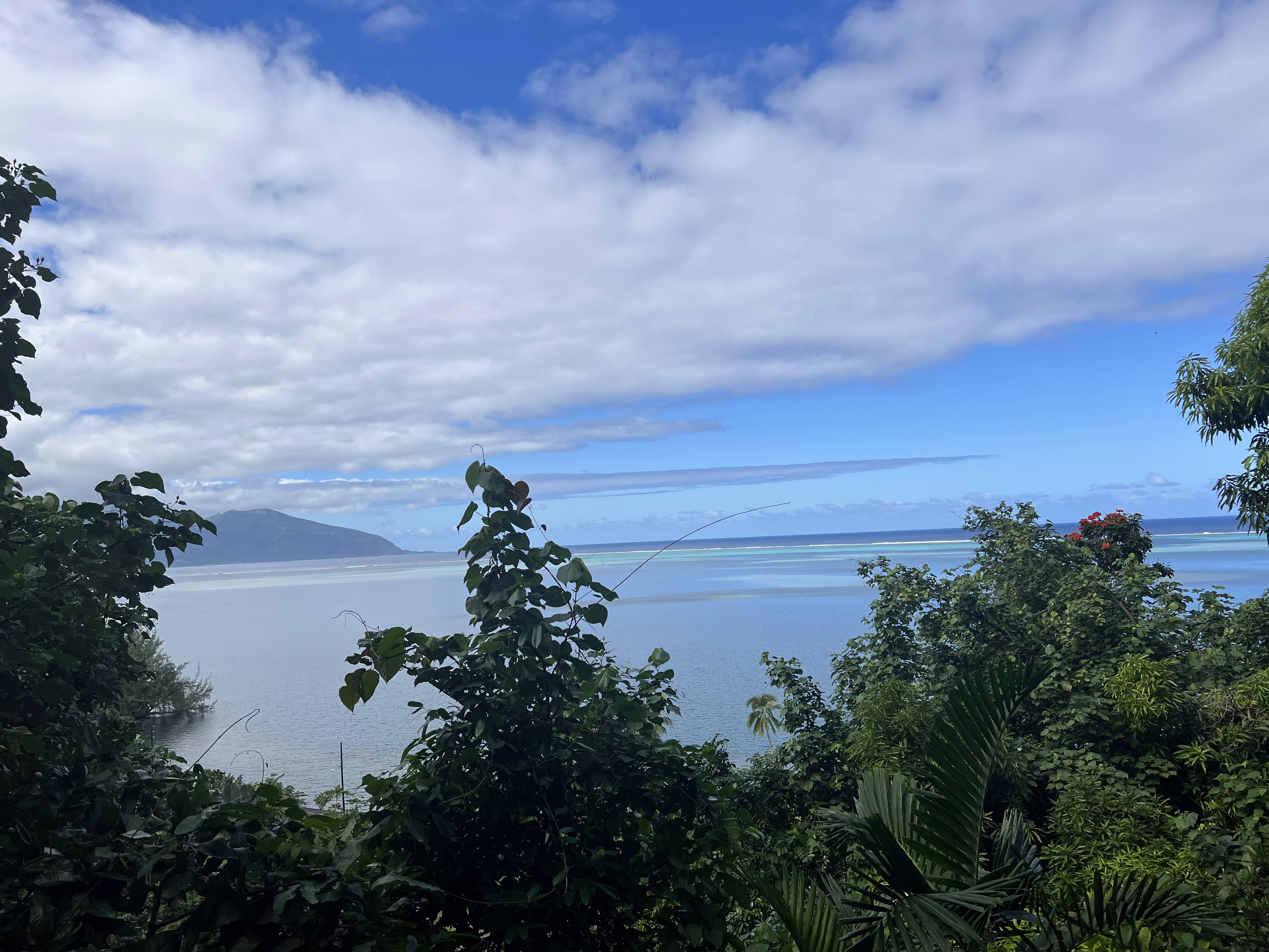 2022 Tahiti Taravao HXP - Day 12 (Church with Vaihiria Ward, Water Gardens Vaipahi Waterfall & Hike, Sacred Eels, Turtles, Haircut, Activity with Vaihiria Ward Youth, Averie's Birthday, Letters Home)