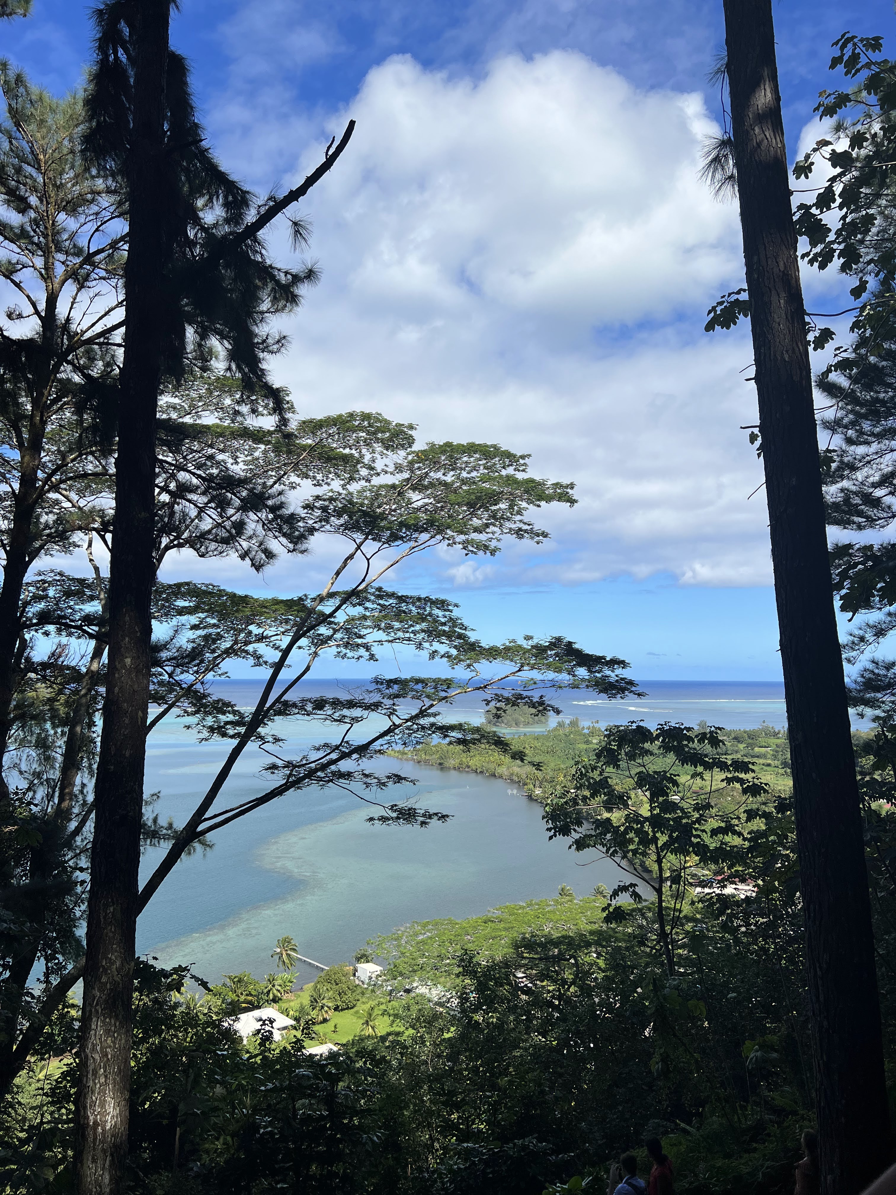 2022 Tahiti Taravao HXP - Day 12 (Church with Vaihiria Ward, Water Gardens Vaipahi Waterfall & Hike, Sacred Eels, Turtles, Haircut, Activity with Vaihiria Ward Youth, Averie's Birthday, Letters Home)