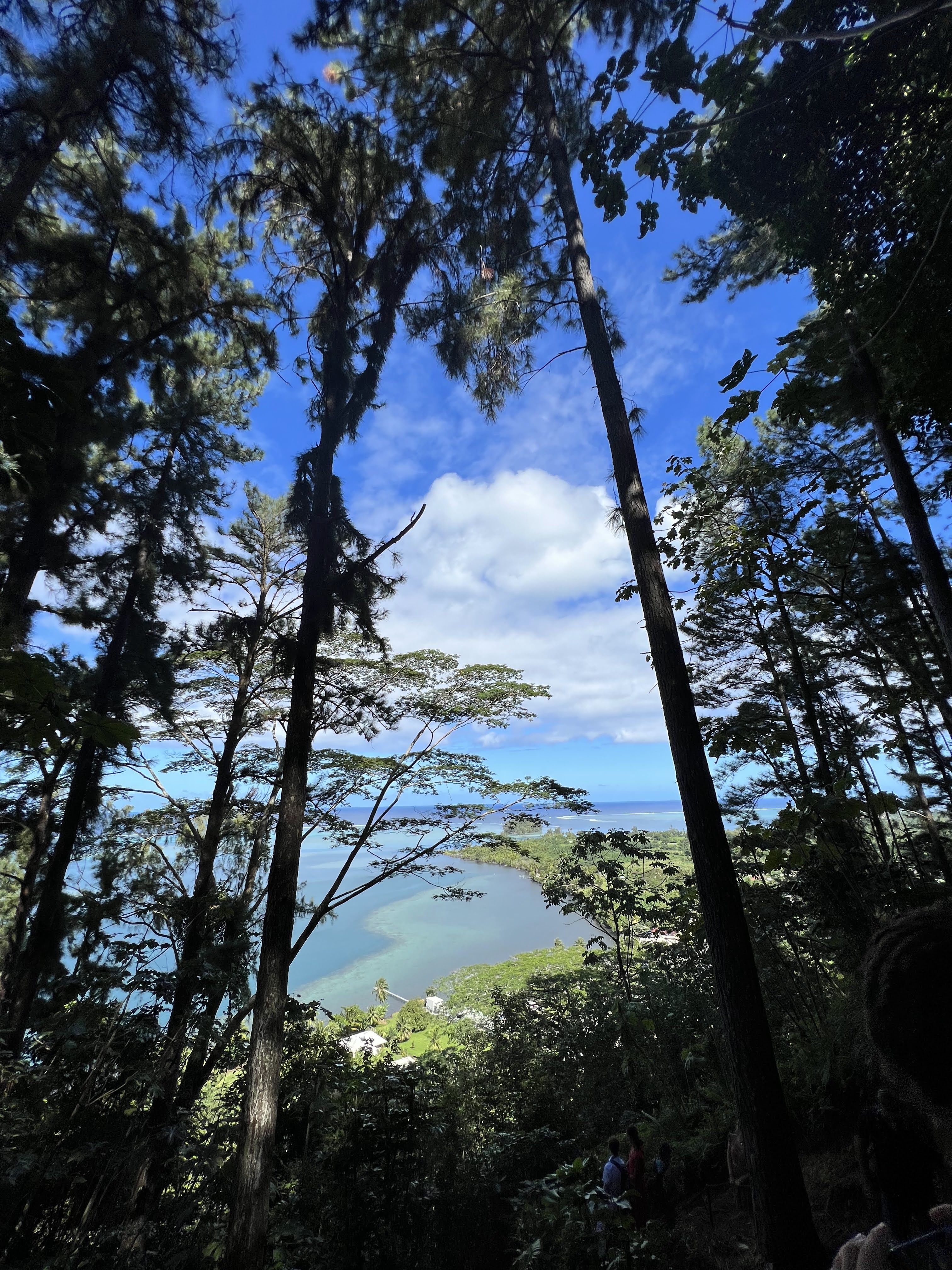 2022 Tahiti Taravao HXP - Day 12 (Church with Vaihiria Ward, Water Gardens Vaipahi Waterfall & Hike, Sacred Eels, Turtles, Haircut, Activity with Vaihiria Ward Youth, Averie's Birthday, Letters Home)